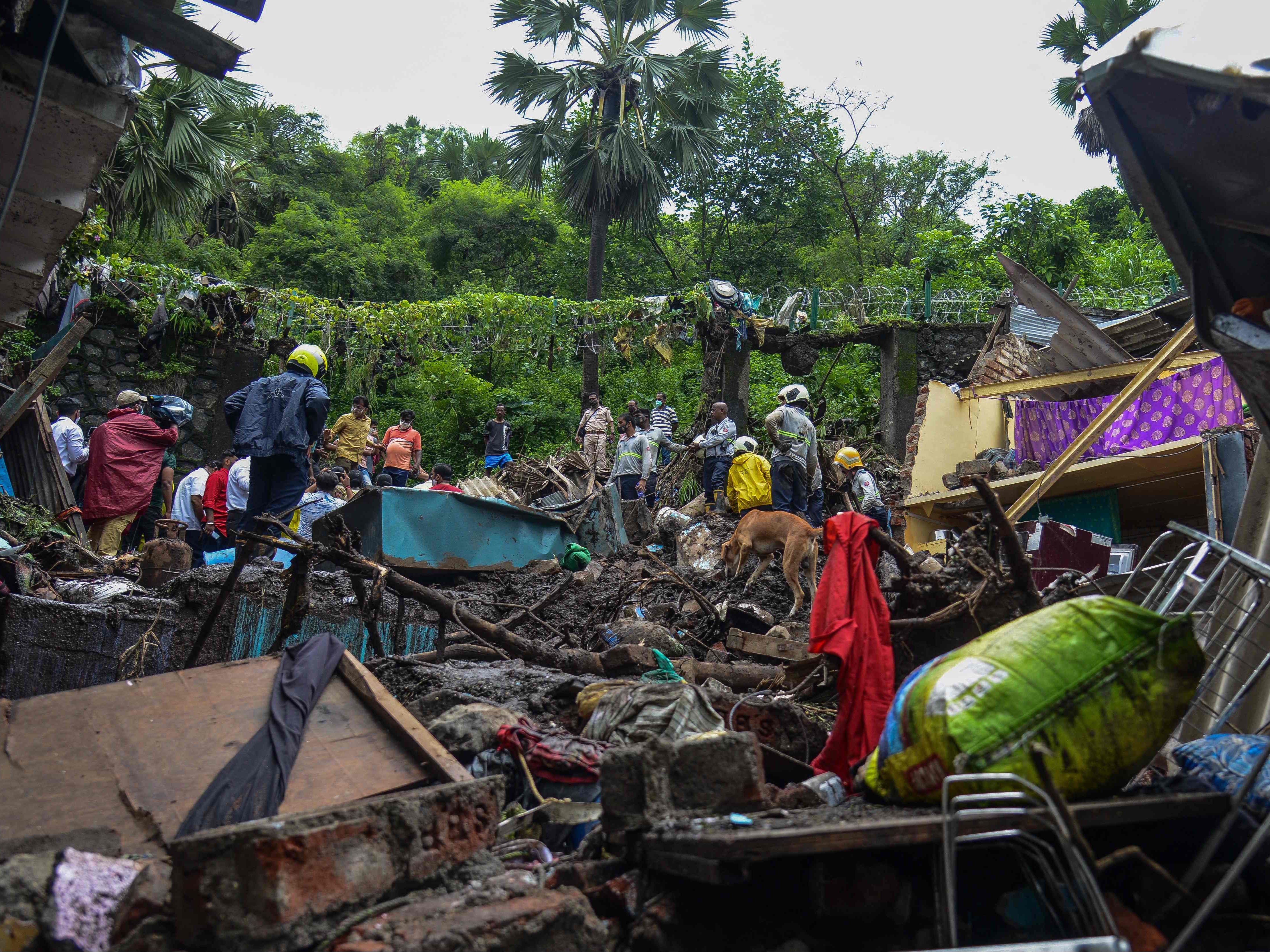 Several houses have collapsed in the city and it is feared victims could be trapped under the debris