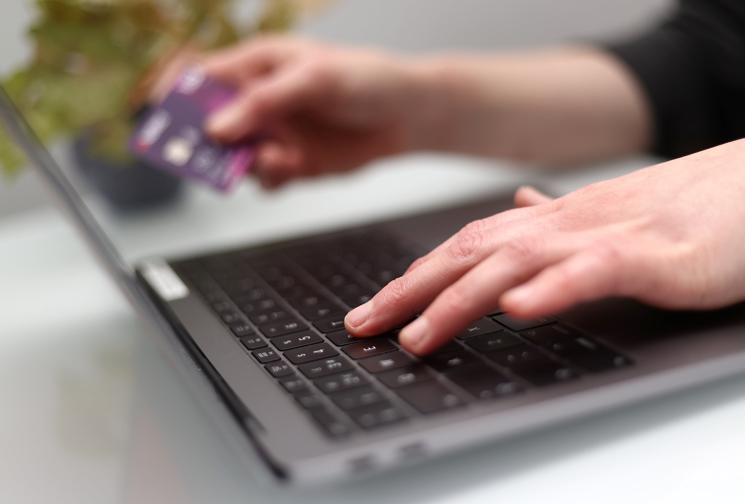 Person using laptop