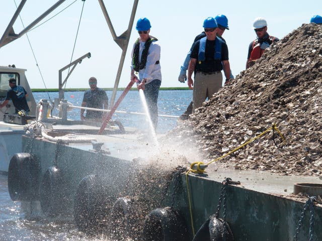 <p>File New Jersey Environental Protection Commissioner Shawn LaTourette, left, uses a high-pressure hose to blast clam and oyster shells from a barge into the Mullica River in Port Republic</p>