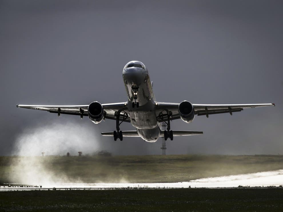 A letter to the home secretary, signed by MPs and peers from all major parties, warns that the charter flight to Harare must be ‘urgently halted’