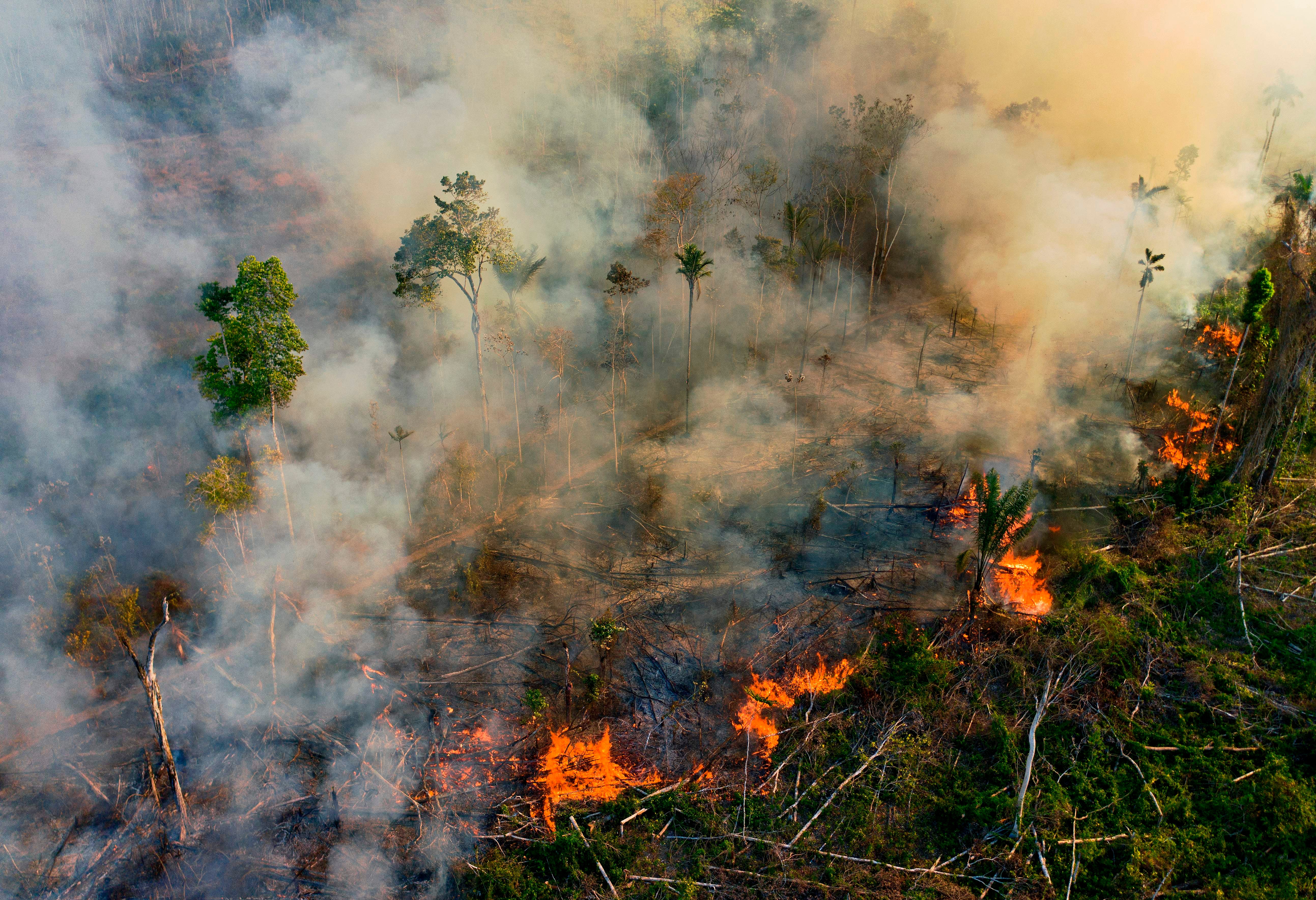 Researchers and environmental campaigners have warned that the Amazon is in danger of suffering unprecedented harm under the leadership of Jair Bolsanaro