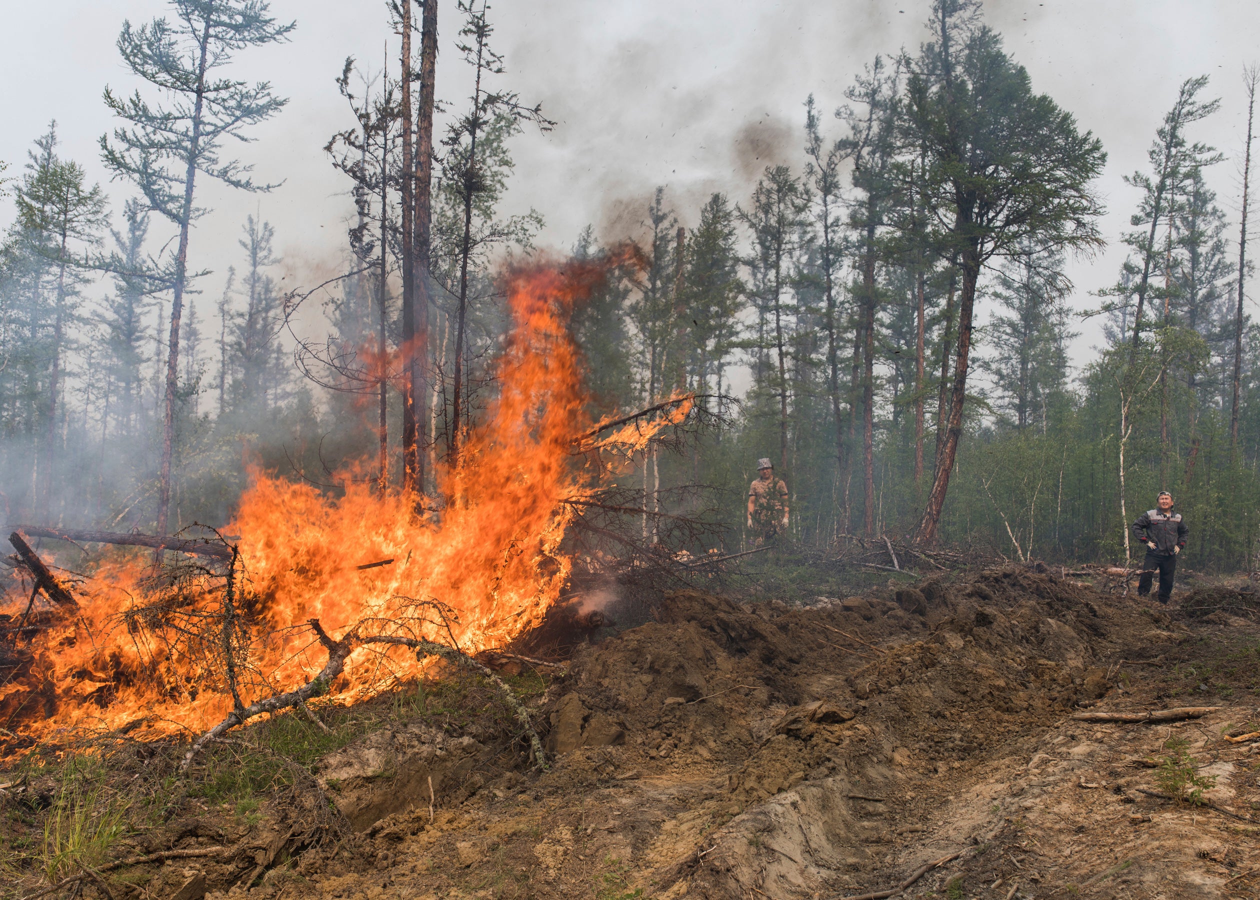 Russia Wildfires