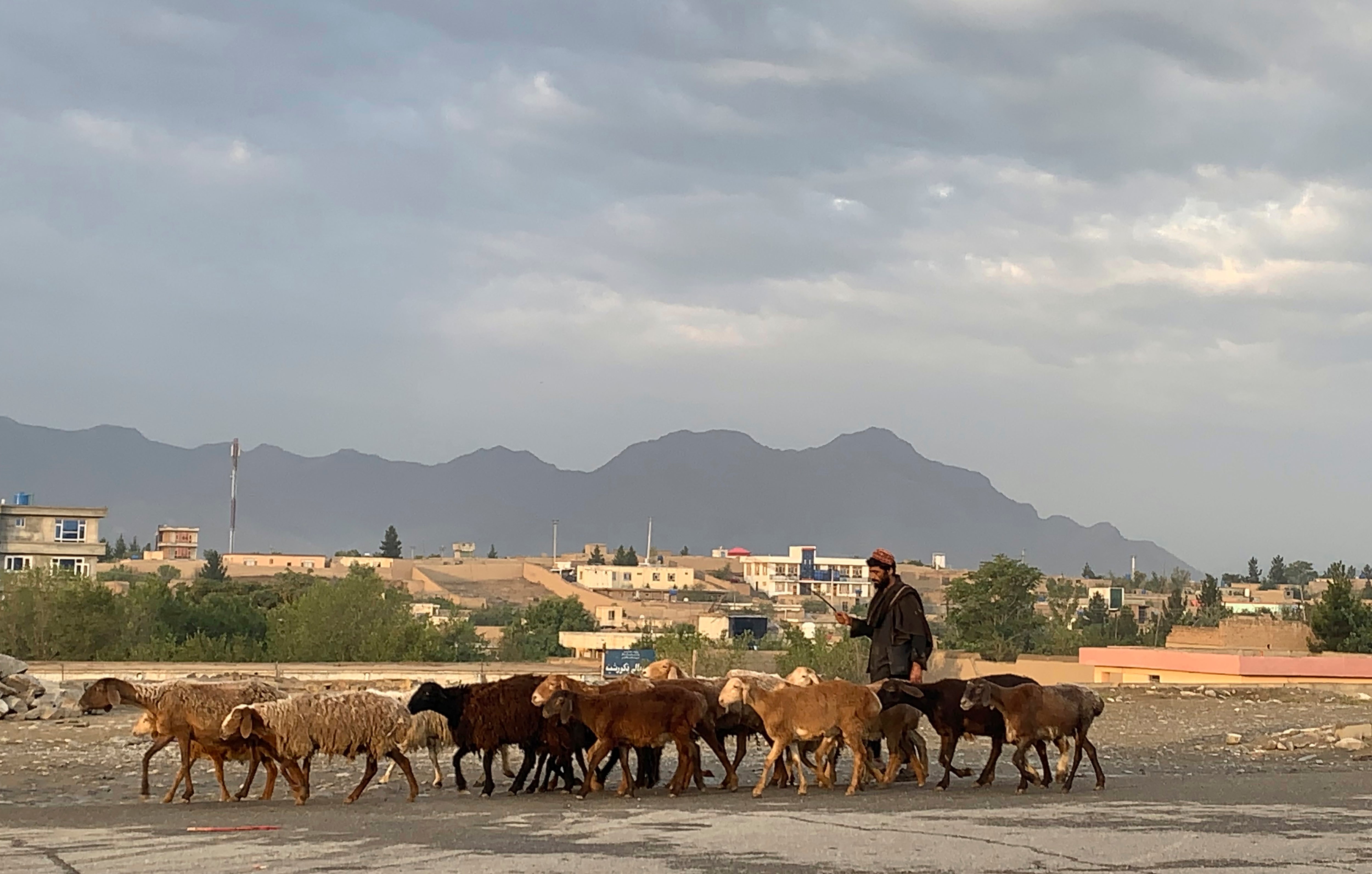 Afghanistan Eid al-Adha