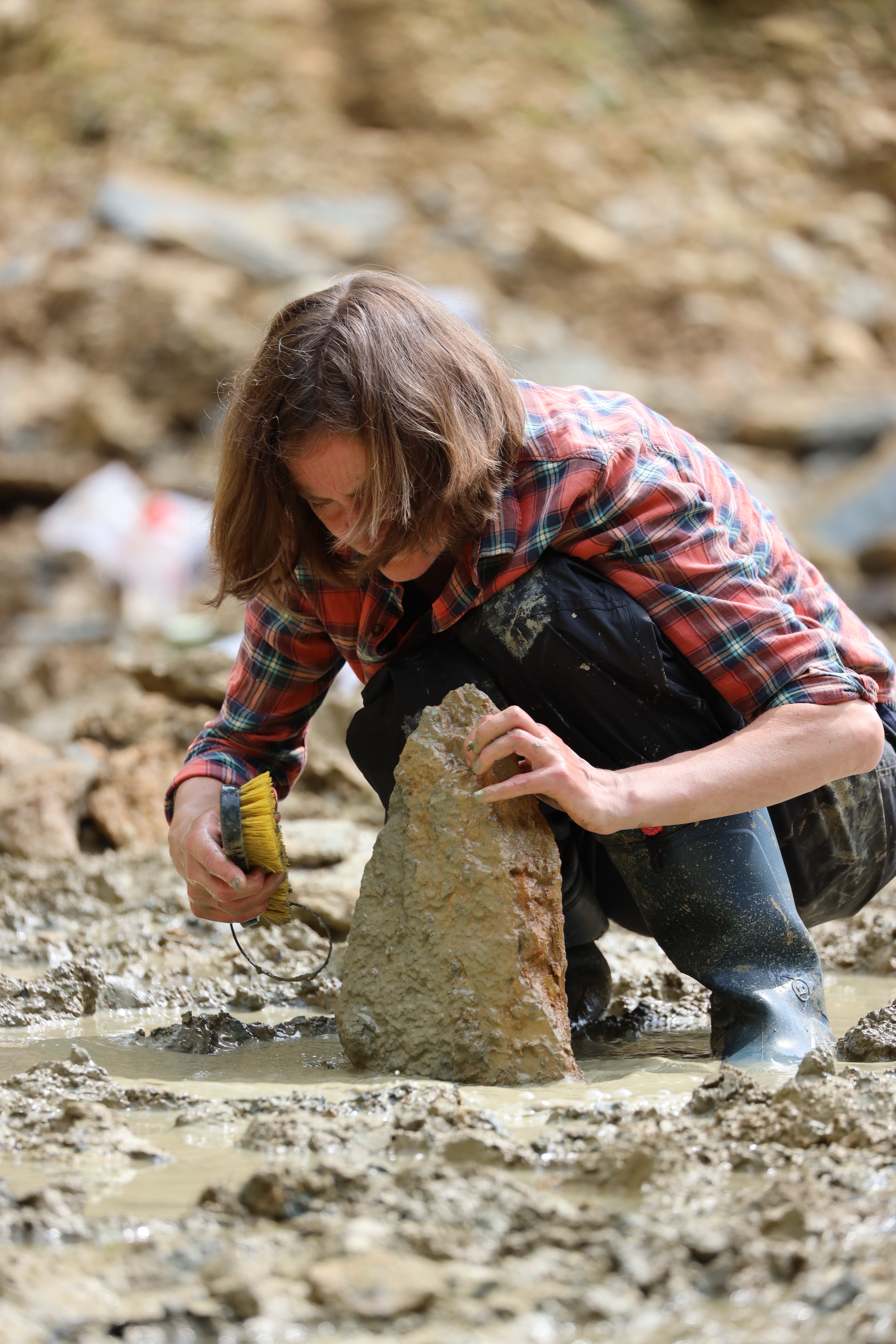 NHM curators and researchers excavate fossils at the Wiltshire site