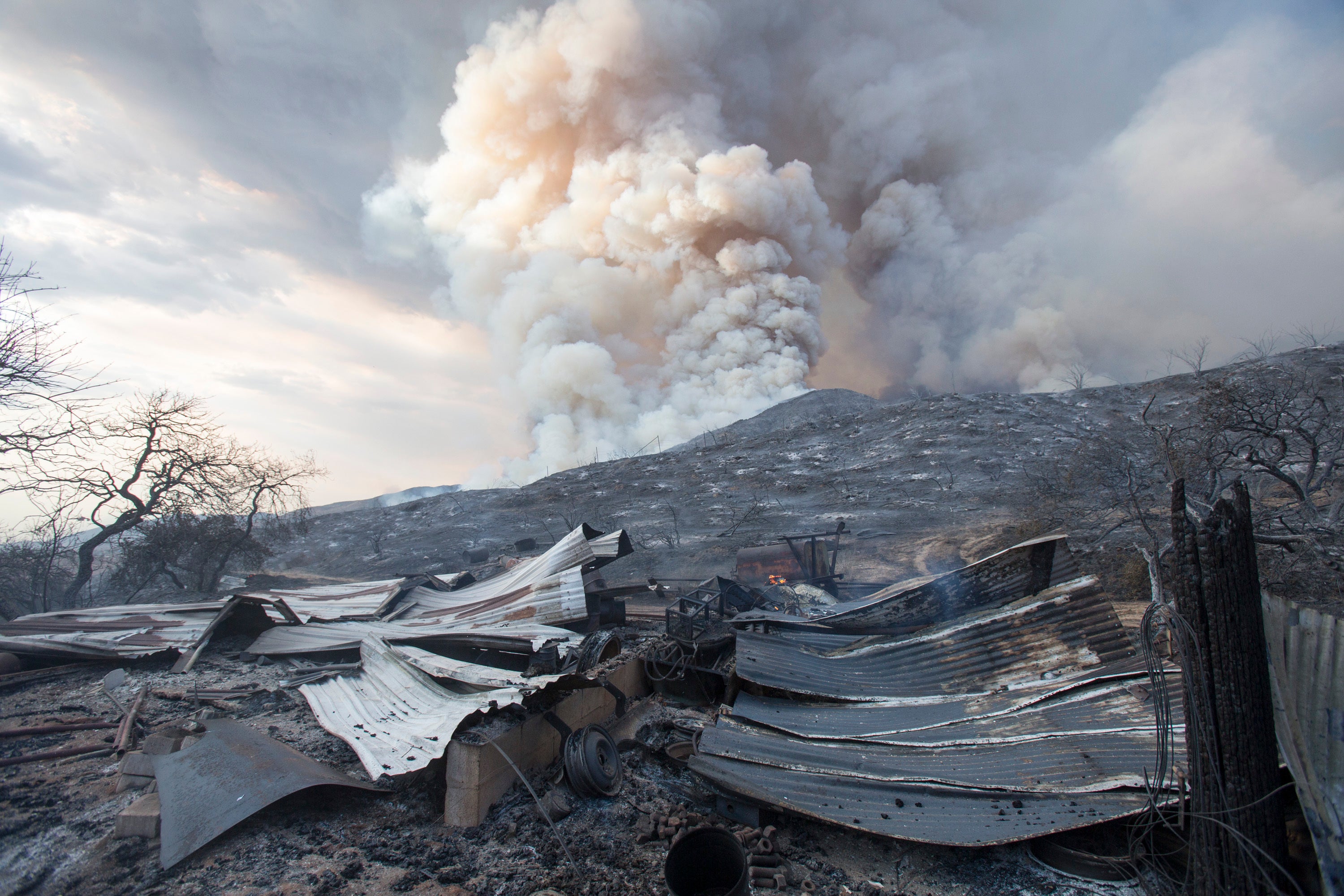 California Wildfire Gender Reveal