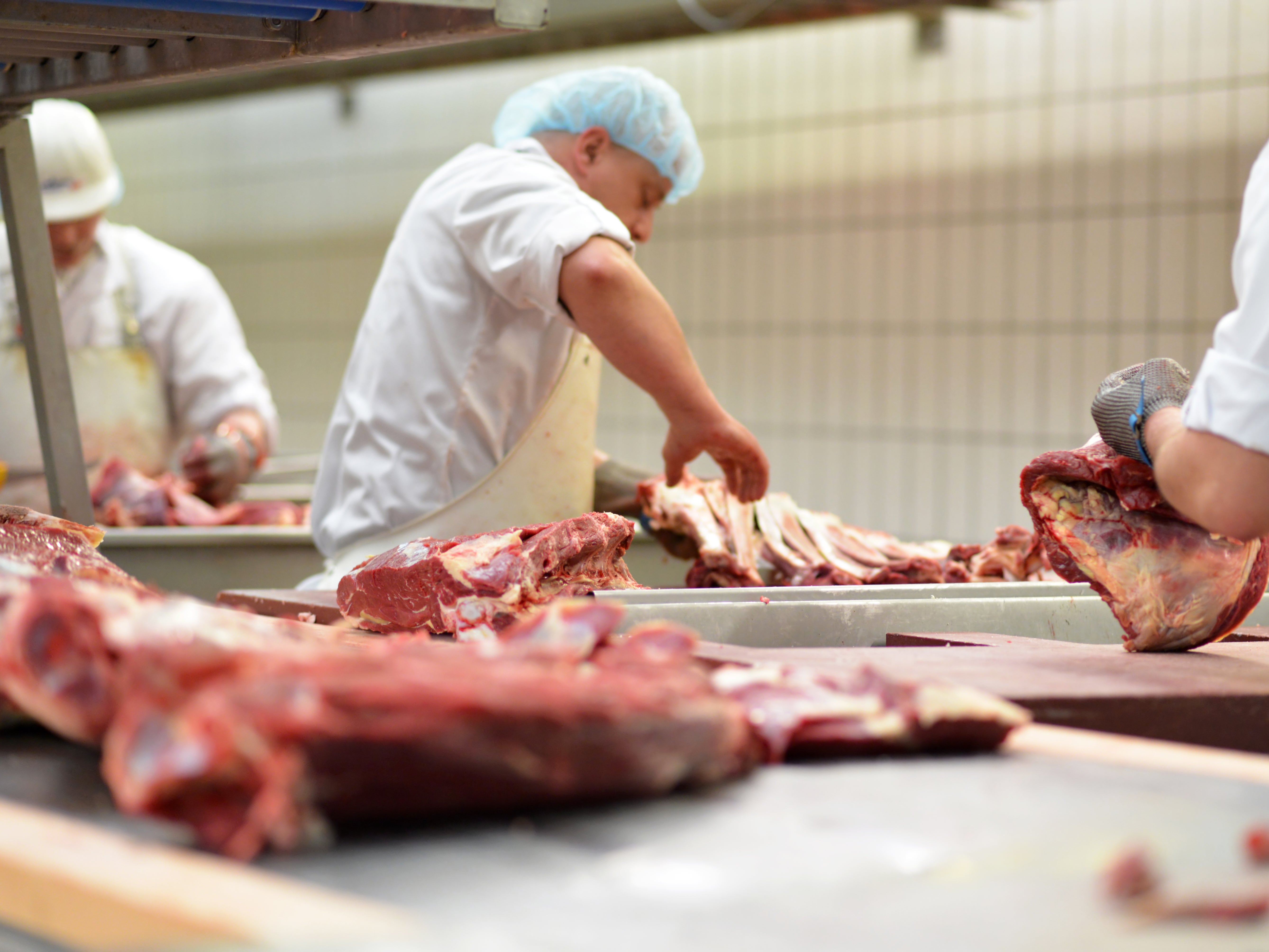 The meat industry causes significant environmental damage and contributes to carbon emissions (Stock photo)