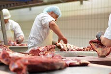 Artificial meat needs government backing to tackle climate crisis, report warns