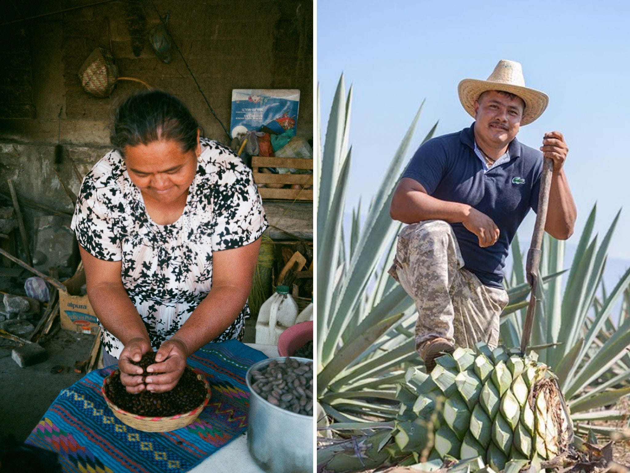 Lorena prepares coffee beans, left, and Celso with a harvested agave, right