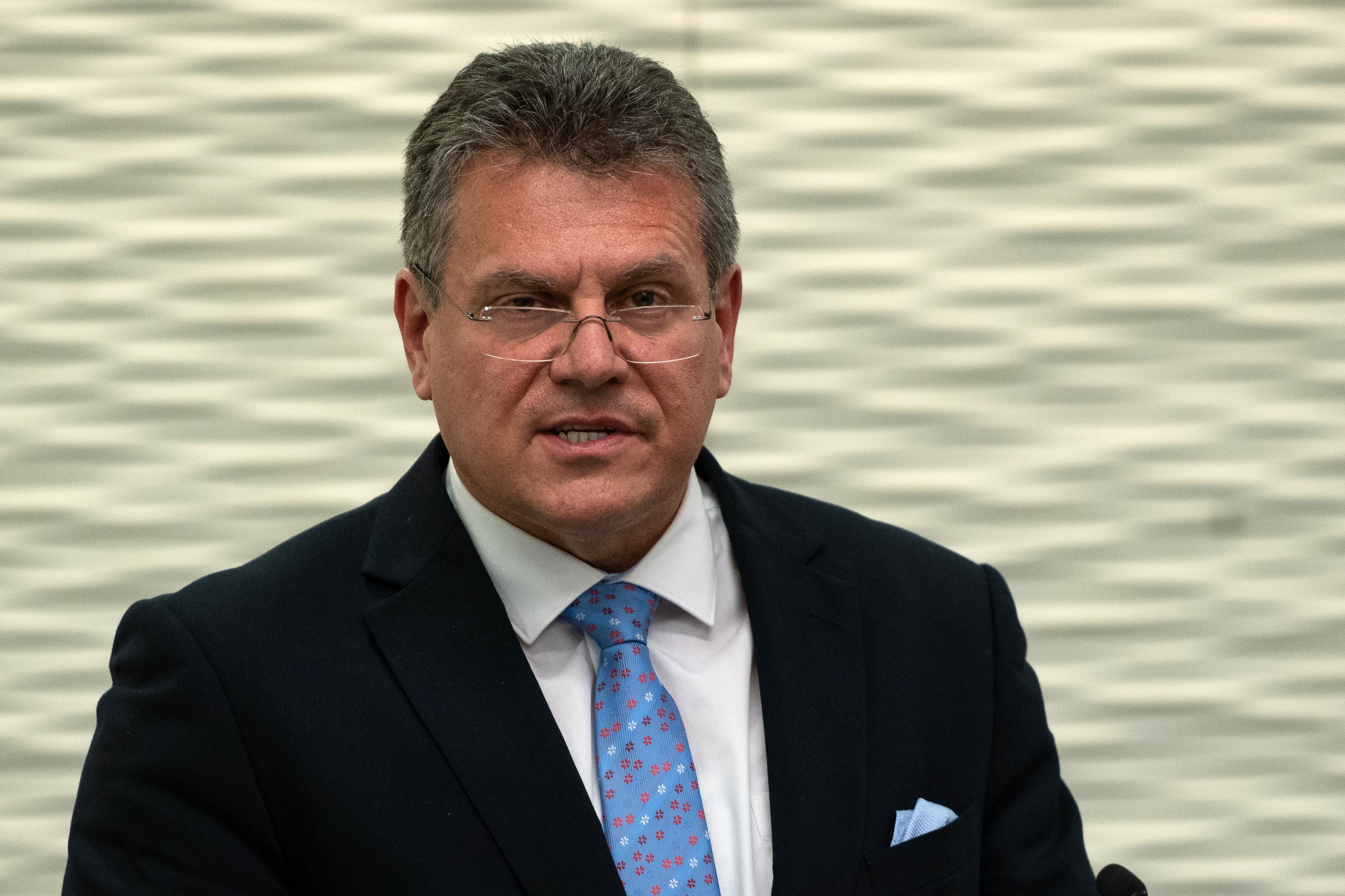 Maros Sefcovic, co-chair of the joint committee charged with implementing the Northern Ireland protocol