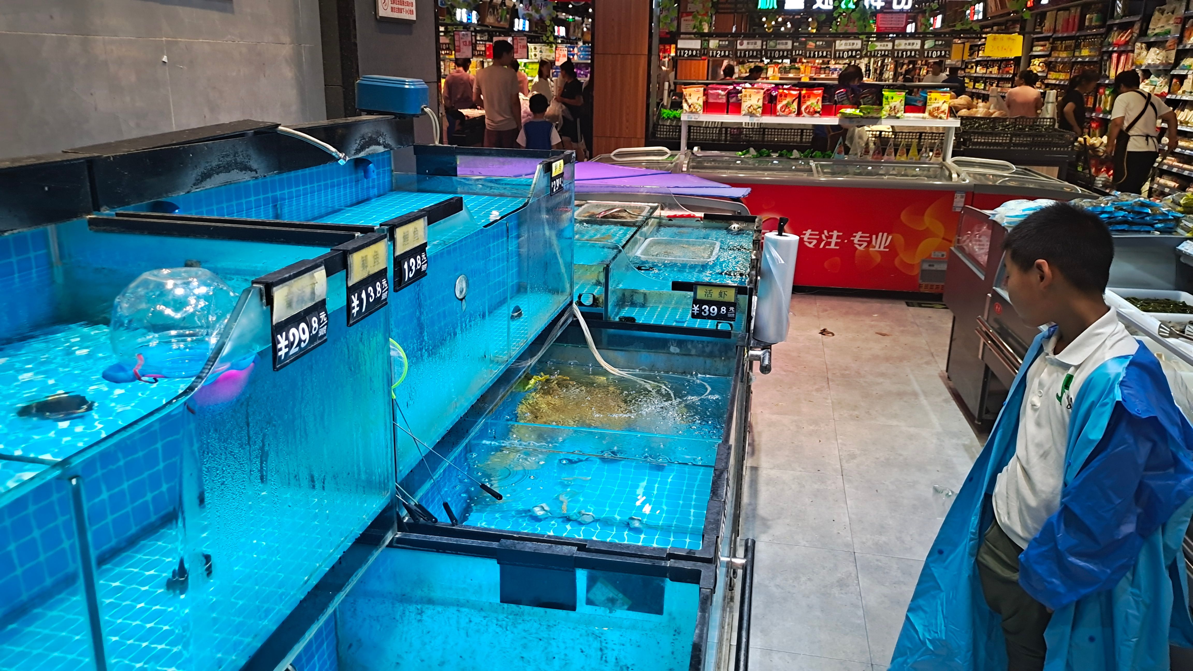 A boy looks at empty seafood tanks at a supermarket in Zhengzhou city, China, on 21 July, 2021.