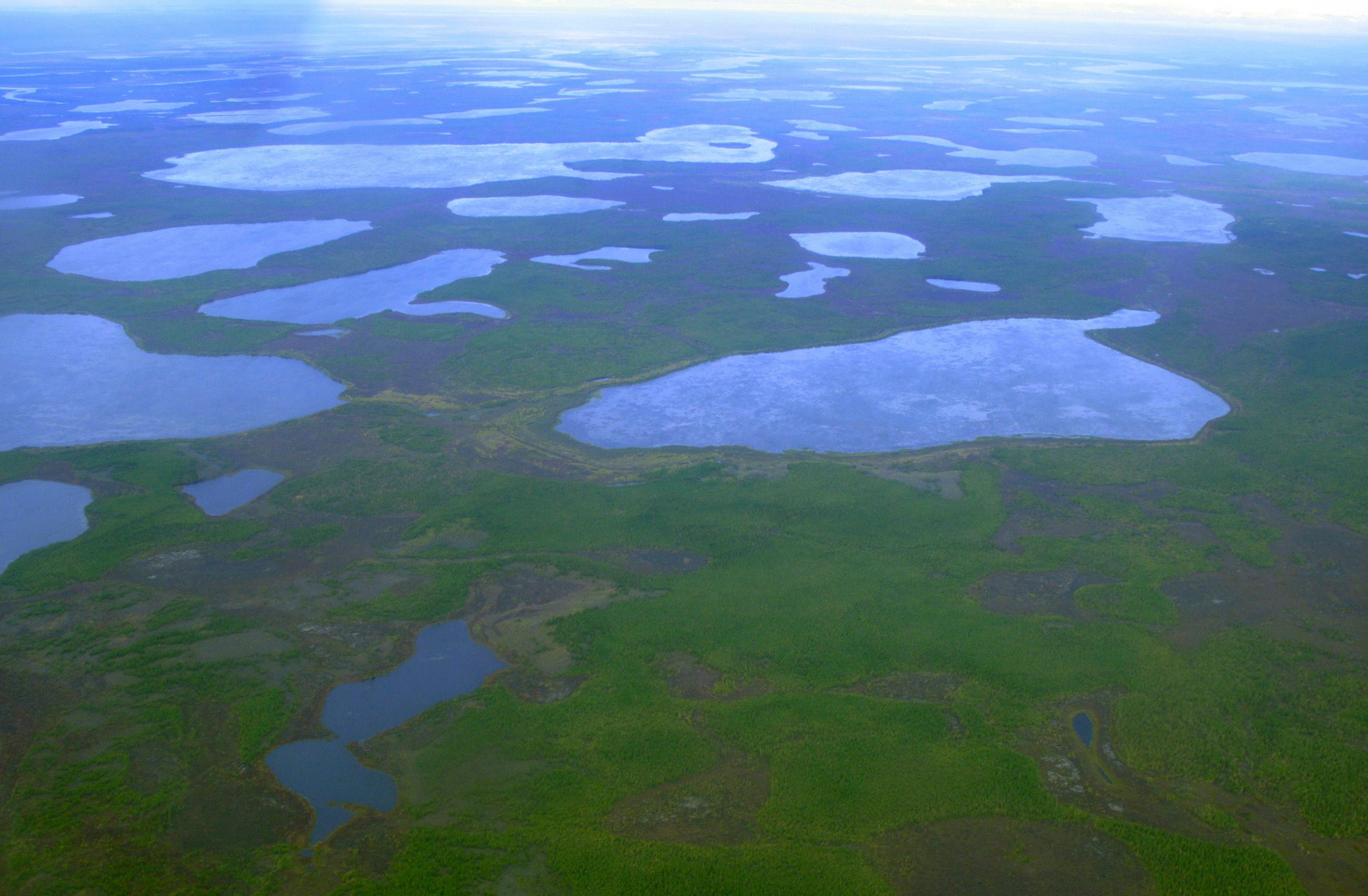 Worms were found in Siberian permafrost in 2018