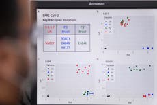 Covid strains combined to produce ‘persistent’ variant in the US, scientists say
