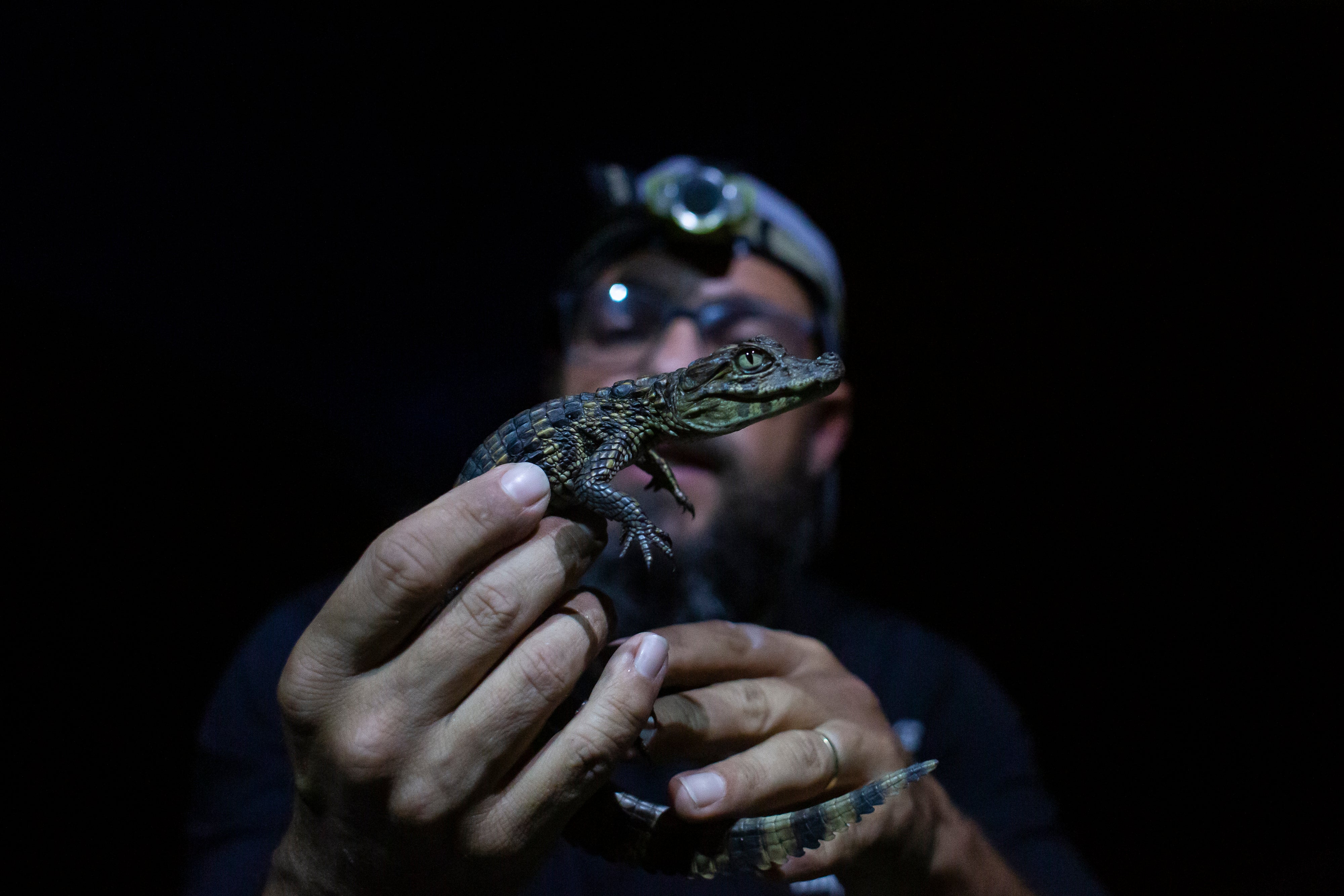 Pictures of the Week Latin America and Caribbean Photo Gallery