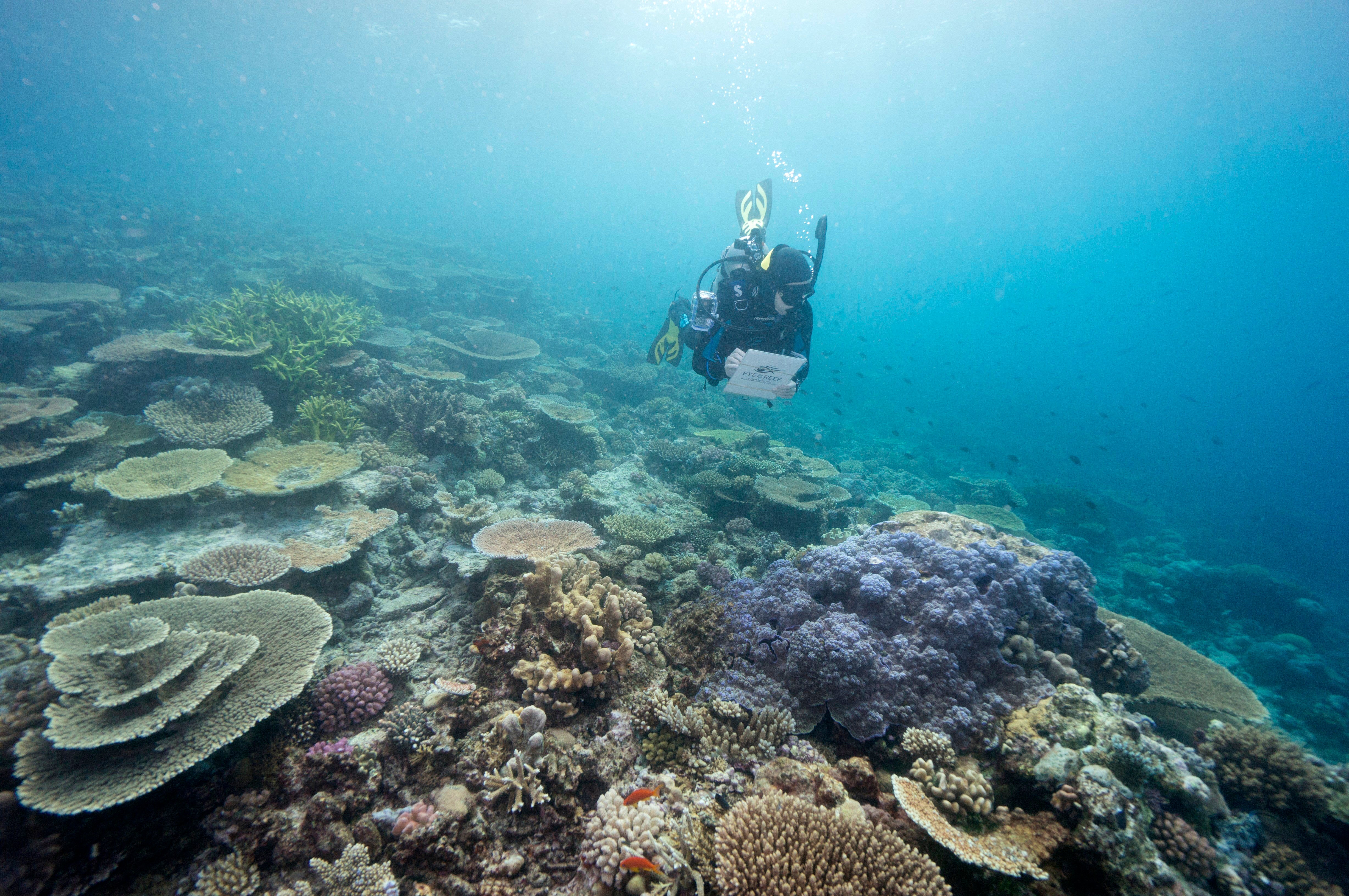 Australia Great Barrier Reef