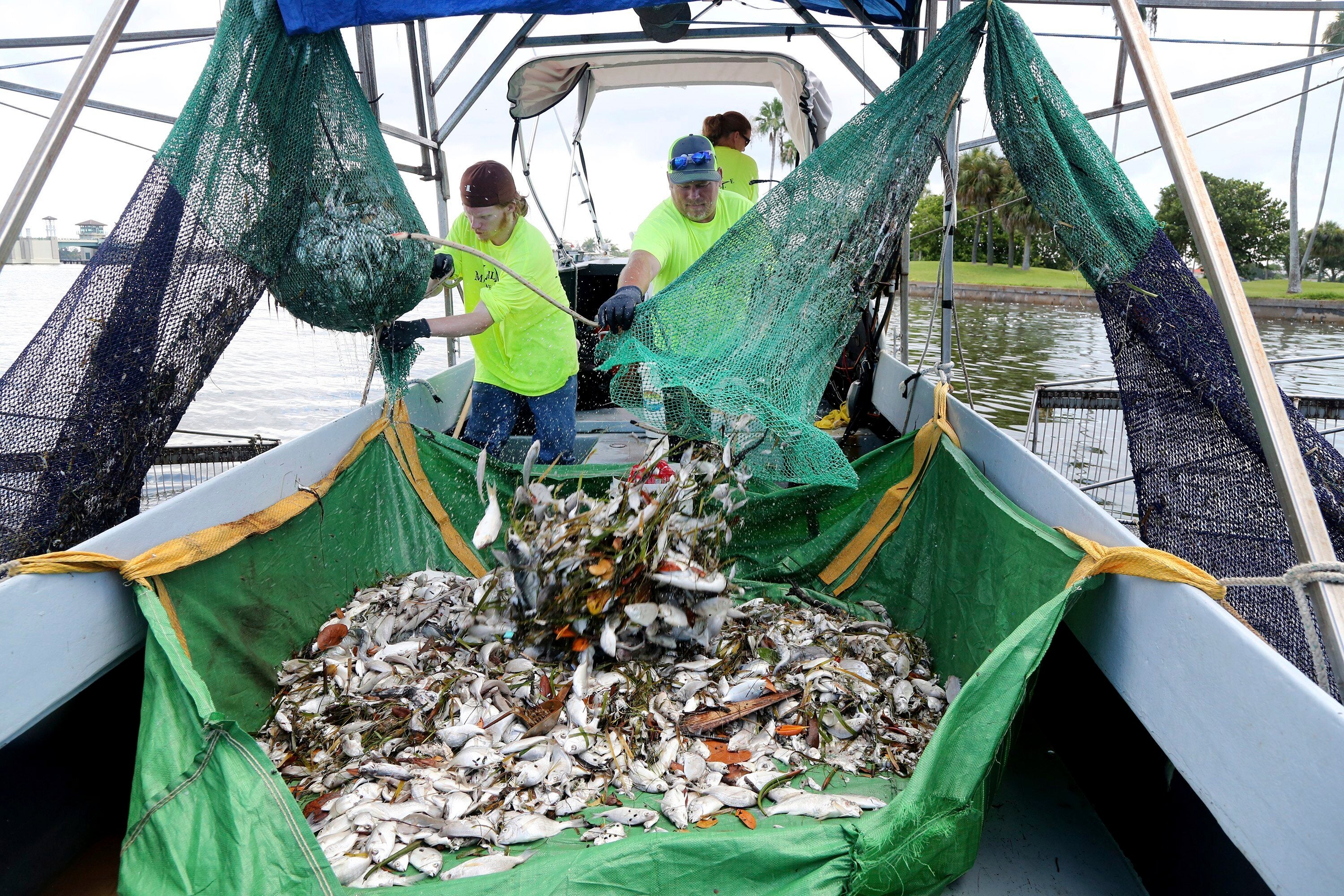 Red Tide Florida