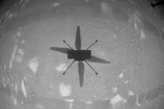 Nasa grounds Mars helicopter Ingenuity as dust and winter threaten flights