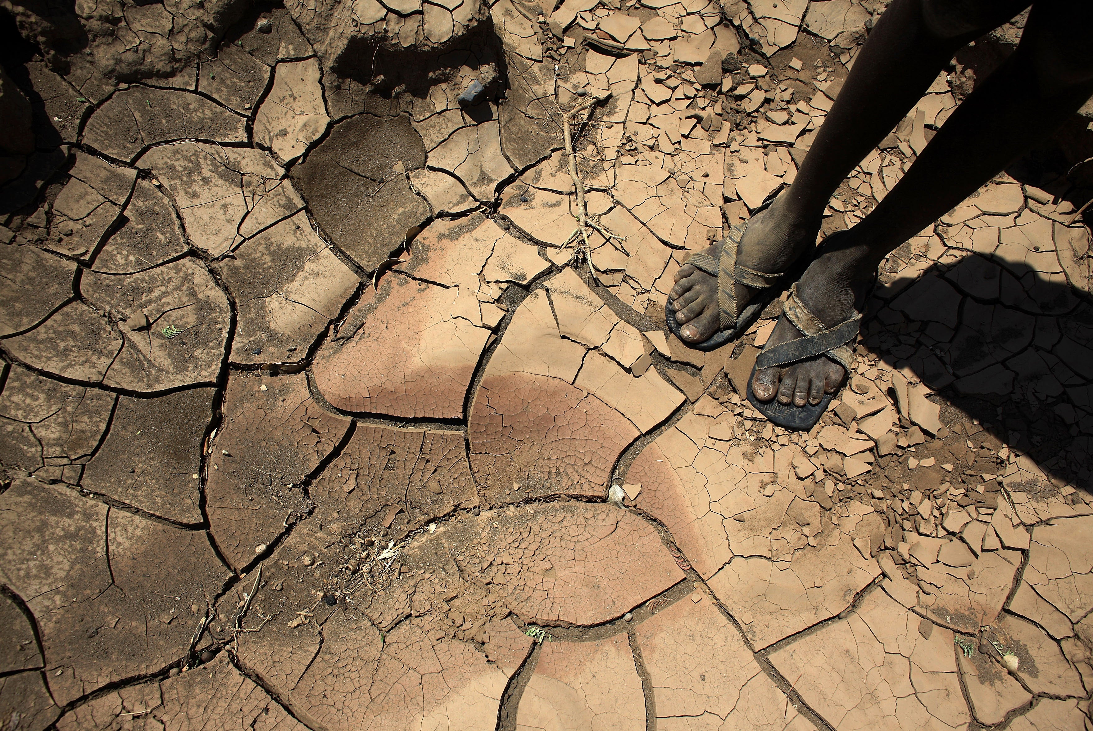 ‘As water and good grasslands get scarcer, as harvests are lost and food prices surge, conflicts over scarce resources are on the rise’