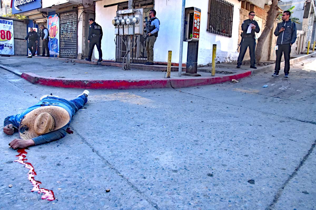 In Morelia there are 25 drugs-related murders every month