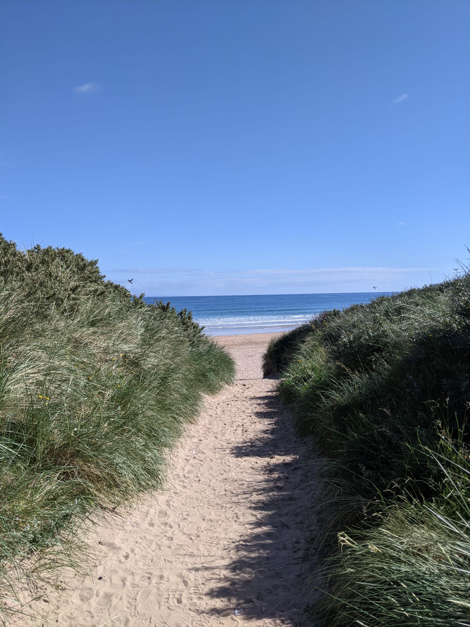 The entrance to pristine Whiterocks Beach