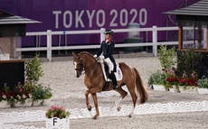 How do horses get to the Olympics?