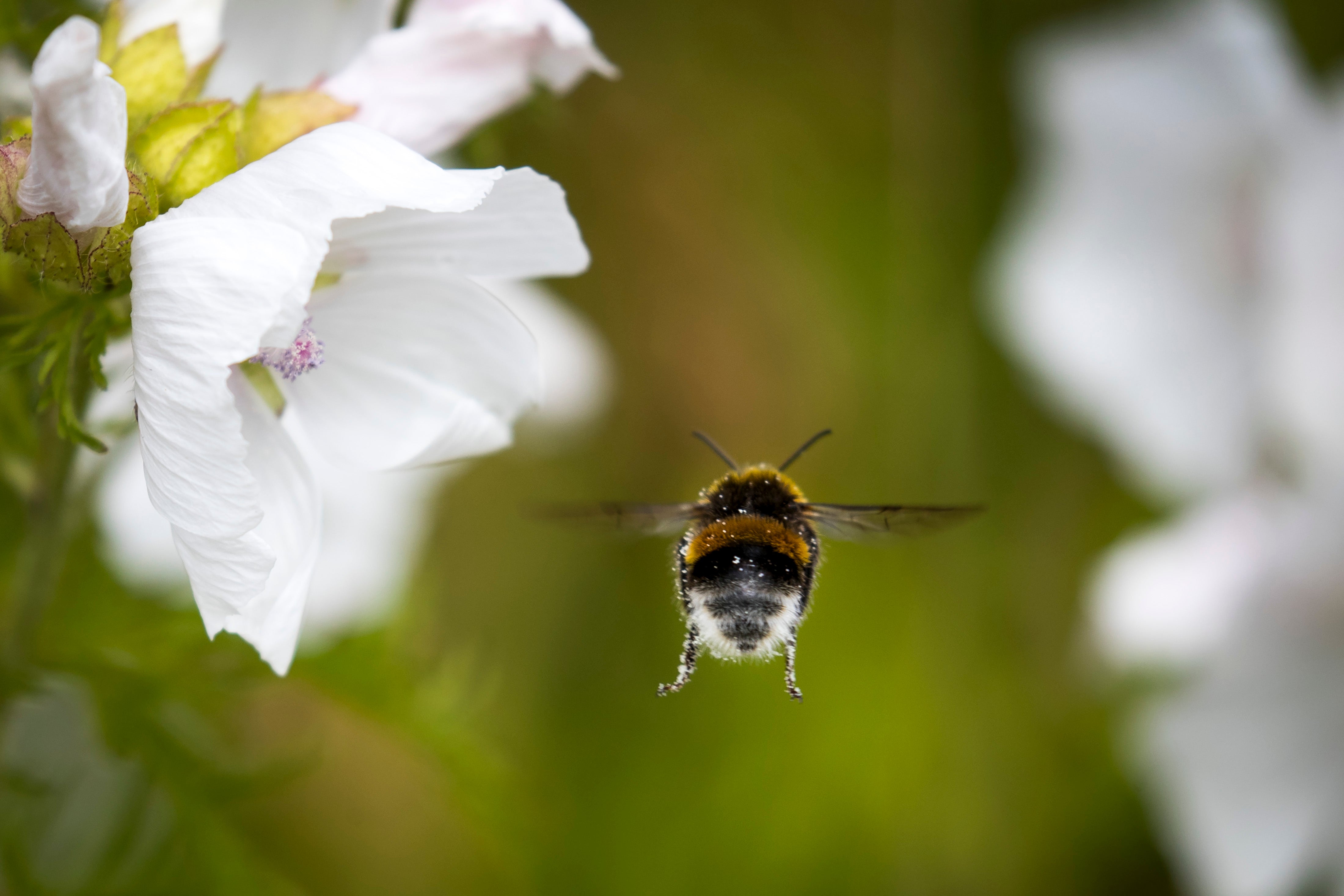 The results could have a big impact on agriculture but need to be tested in a real life environment