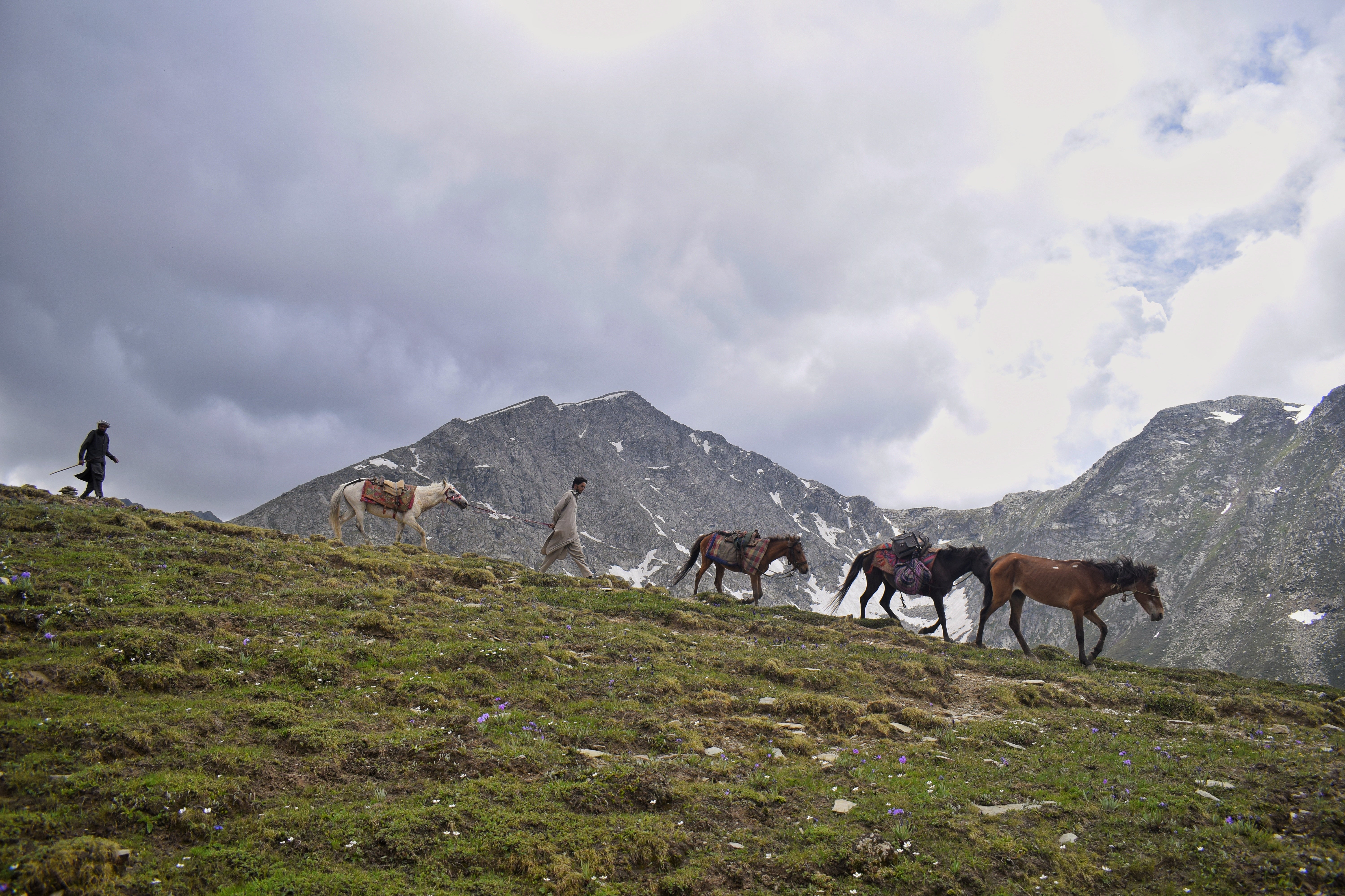 A caravan belonging to Gujjar and Bakarwal community passing through Huksar, one of their traditional migratory routes