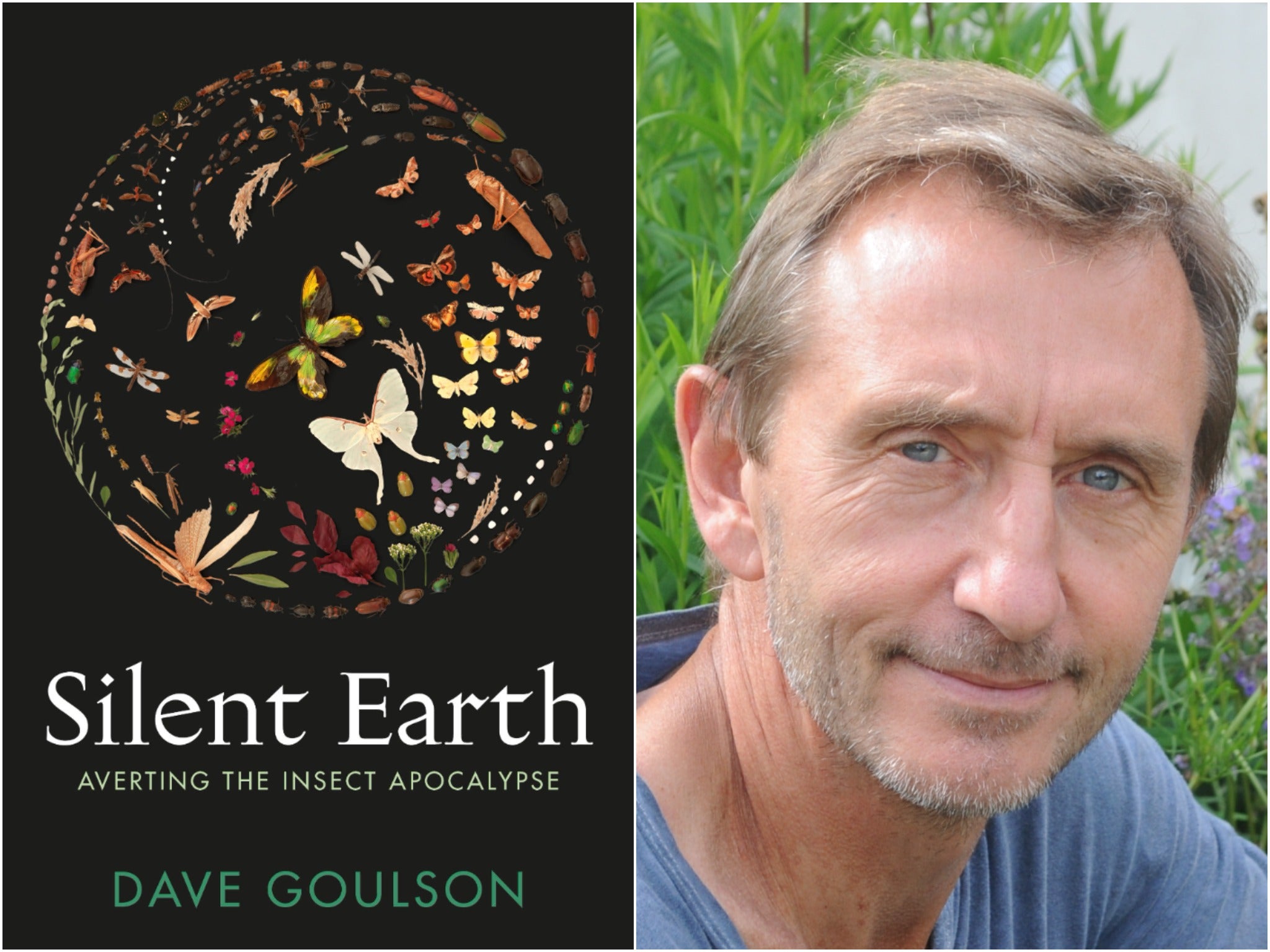 Dave Goulson’s ‘Silent Earth’ provides a sobering look at a world in the throes of an environmental crisis