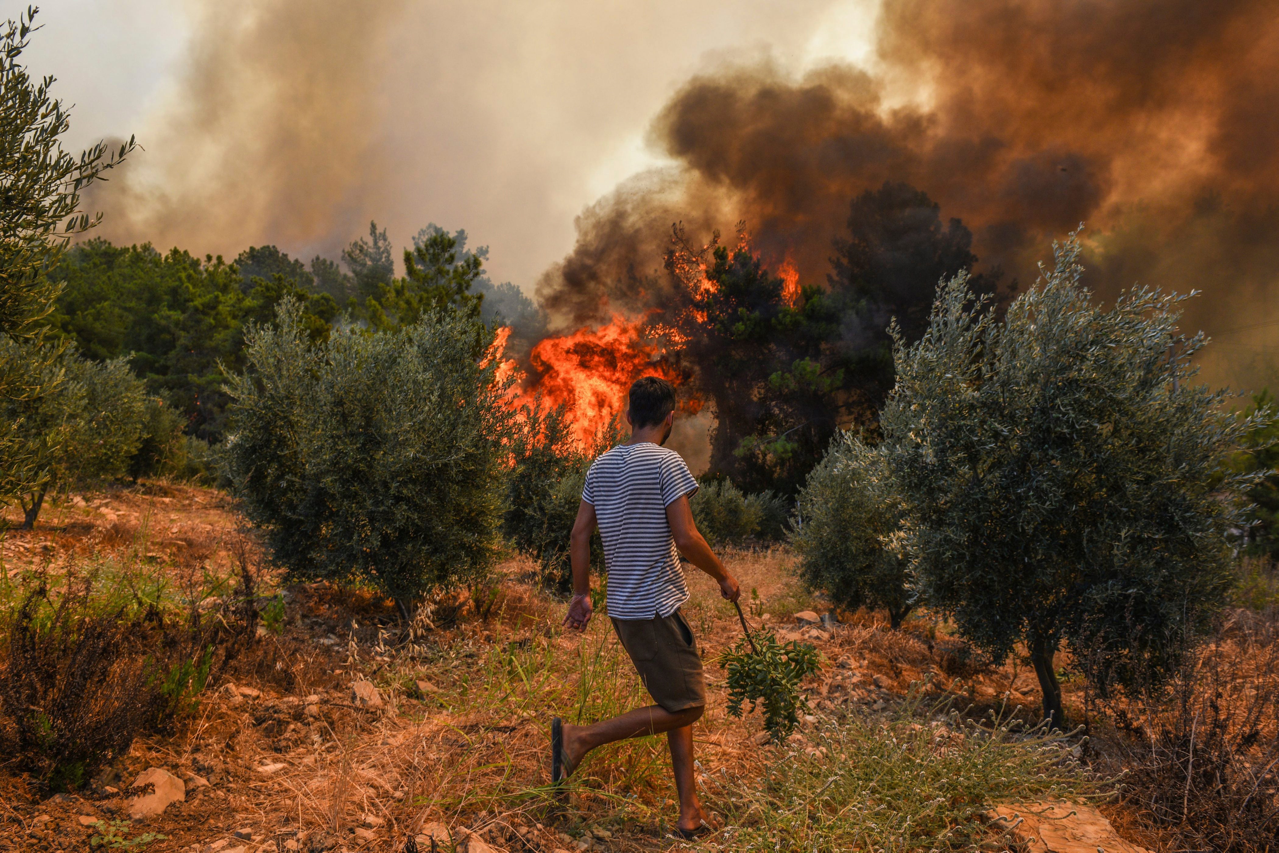 Turkey Wildfire