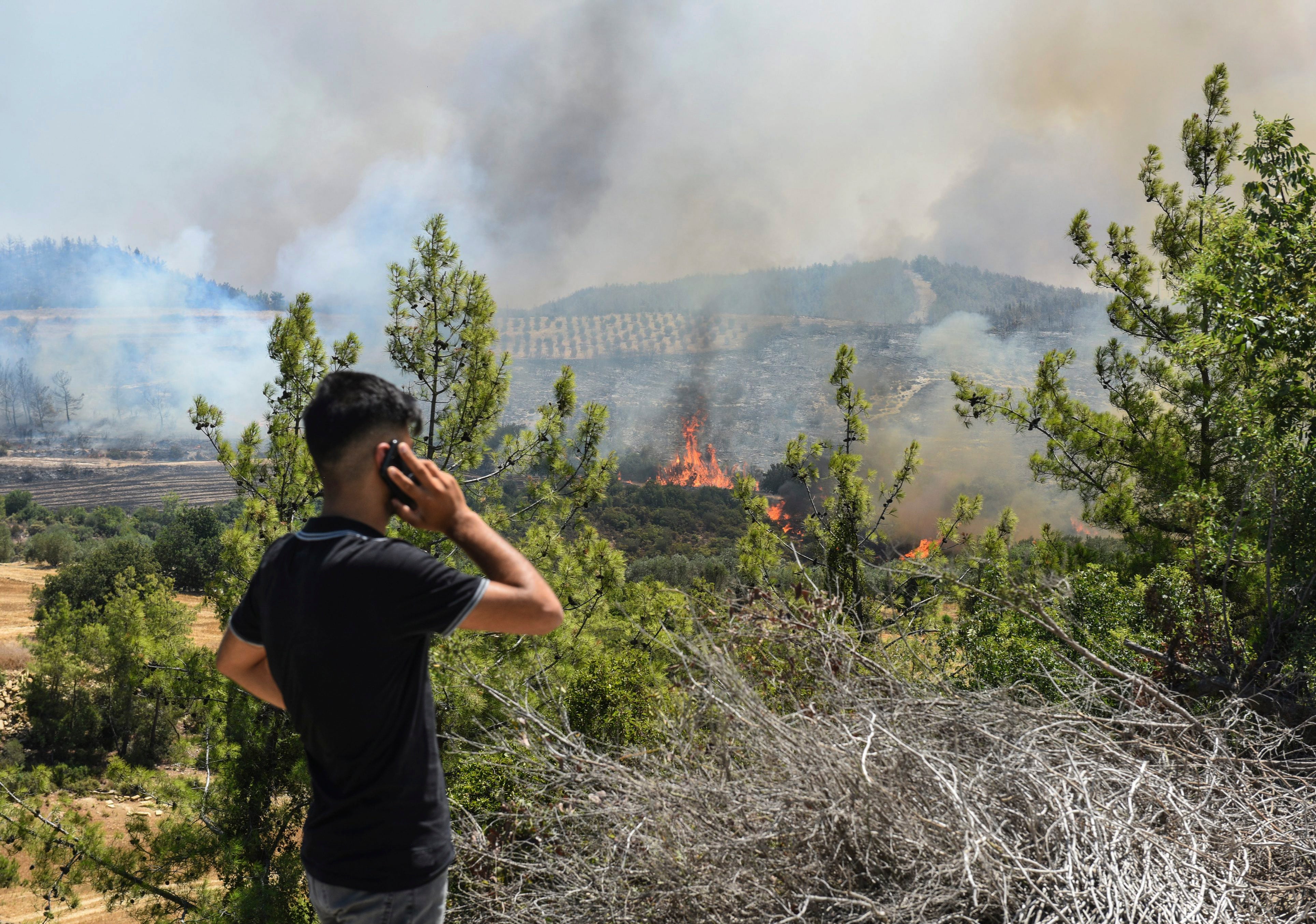 Turkey Wildfire