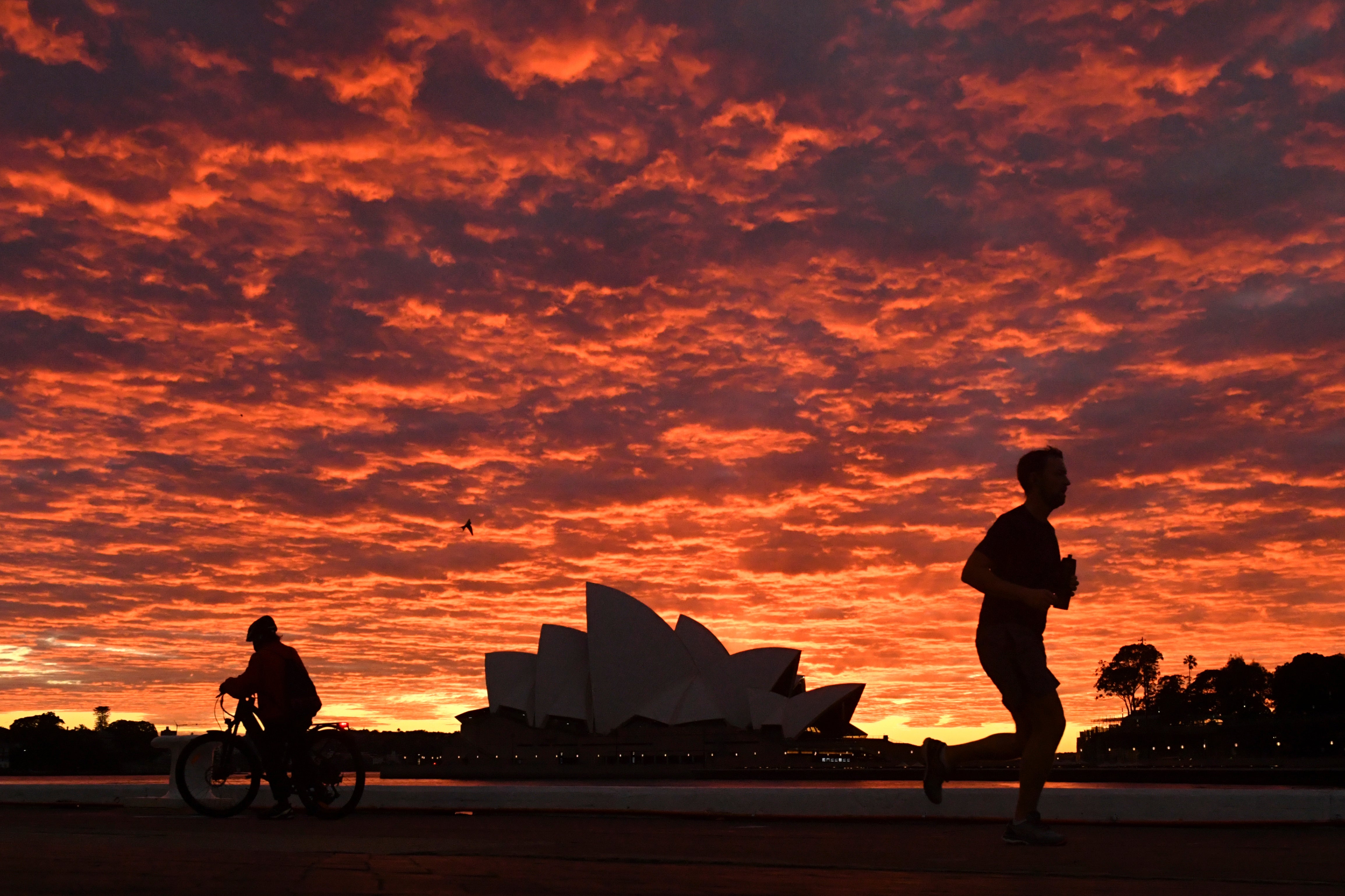 Australian officials warned Sydney residents to brace for a surge in coronavirus cases on Friday