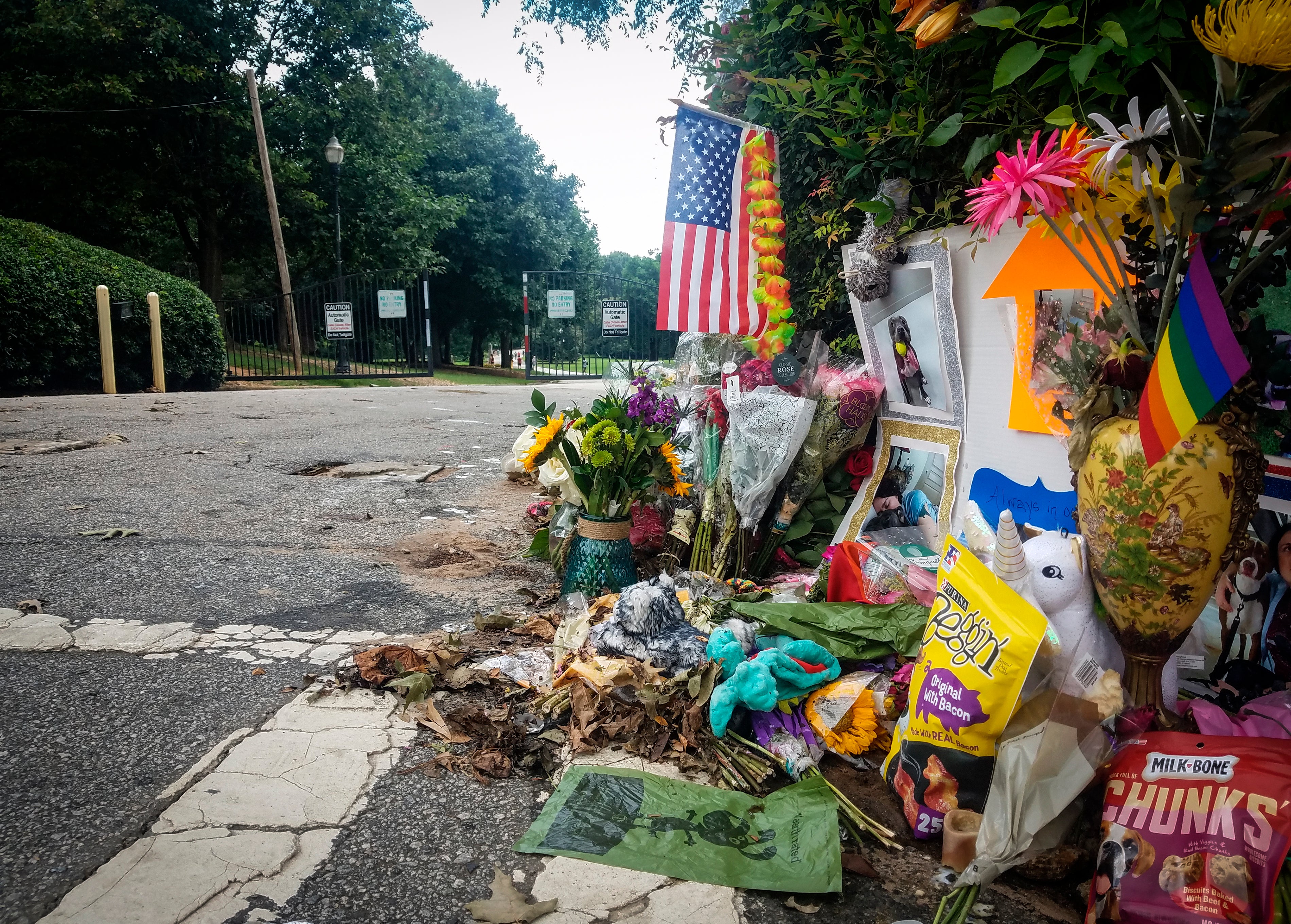 Atlanta-Park-Stabbing