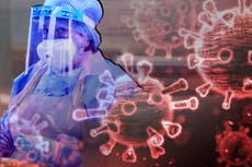 In full: The 2005 coronavirus plan that predicted outbreak response from ‘super-spreader’ events to travel