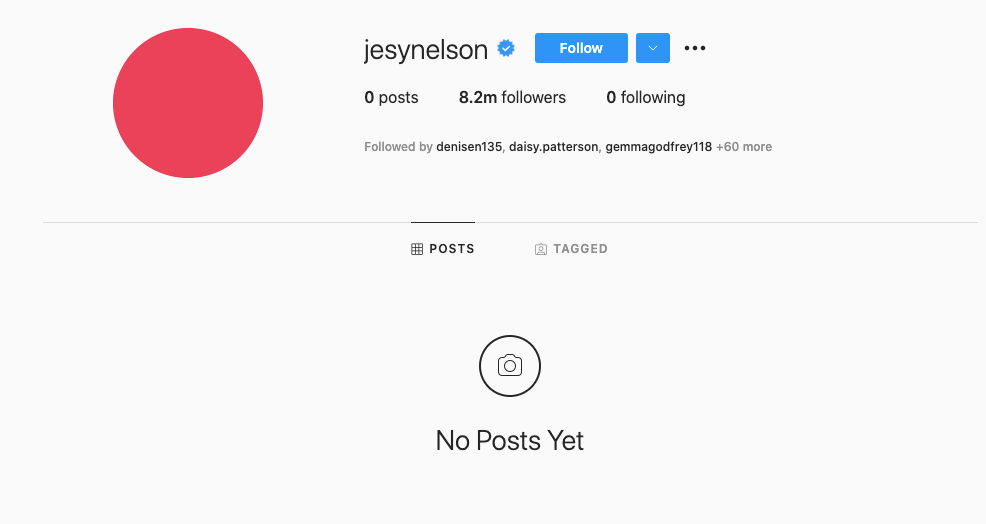 Jesy Nelson has wiped her entire Instagram page