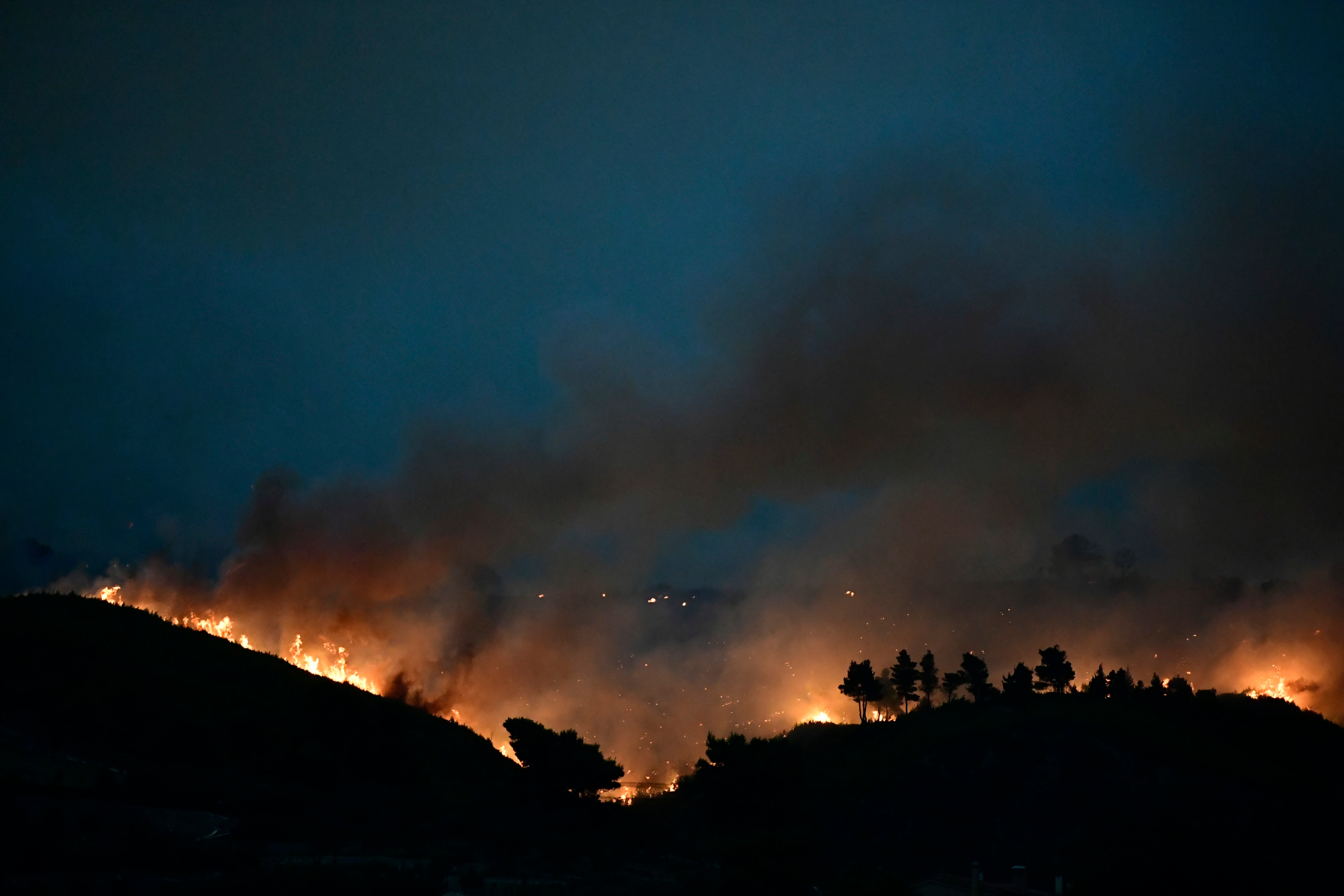 Extreme weather events like the Greece wildfires are seen as ‘black swans’