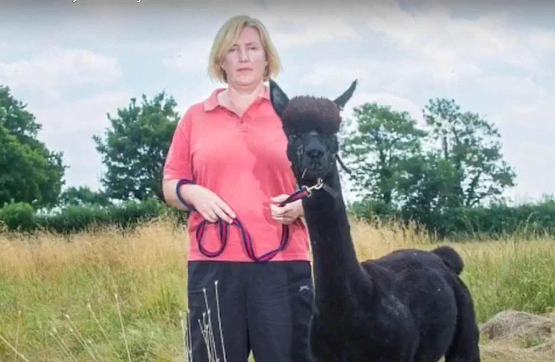 Helen Macdonald with Geronimo