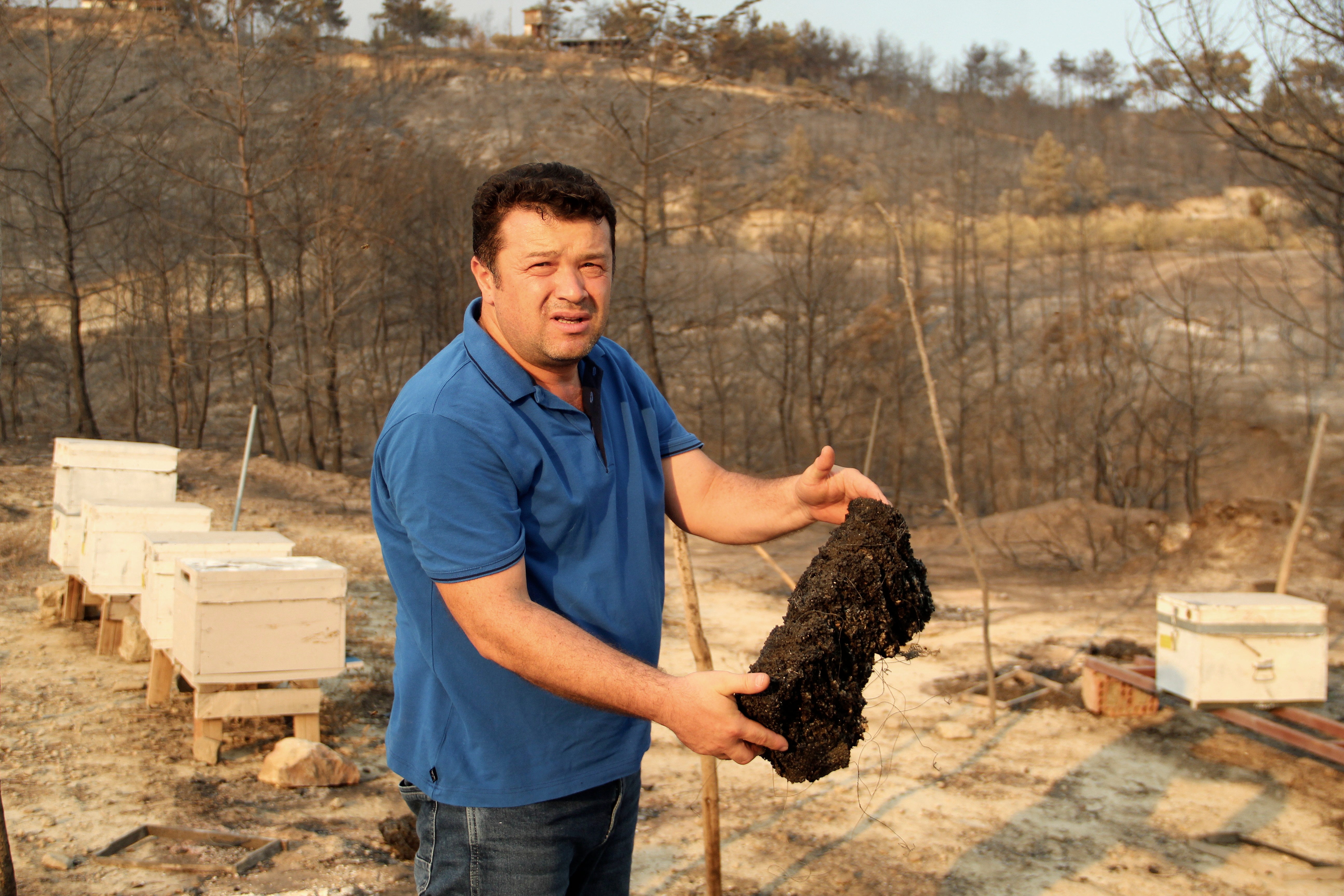 Turkey Wildfires Bees