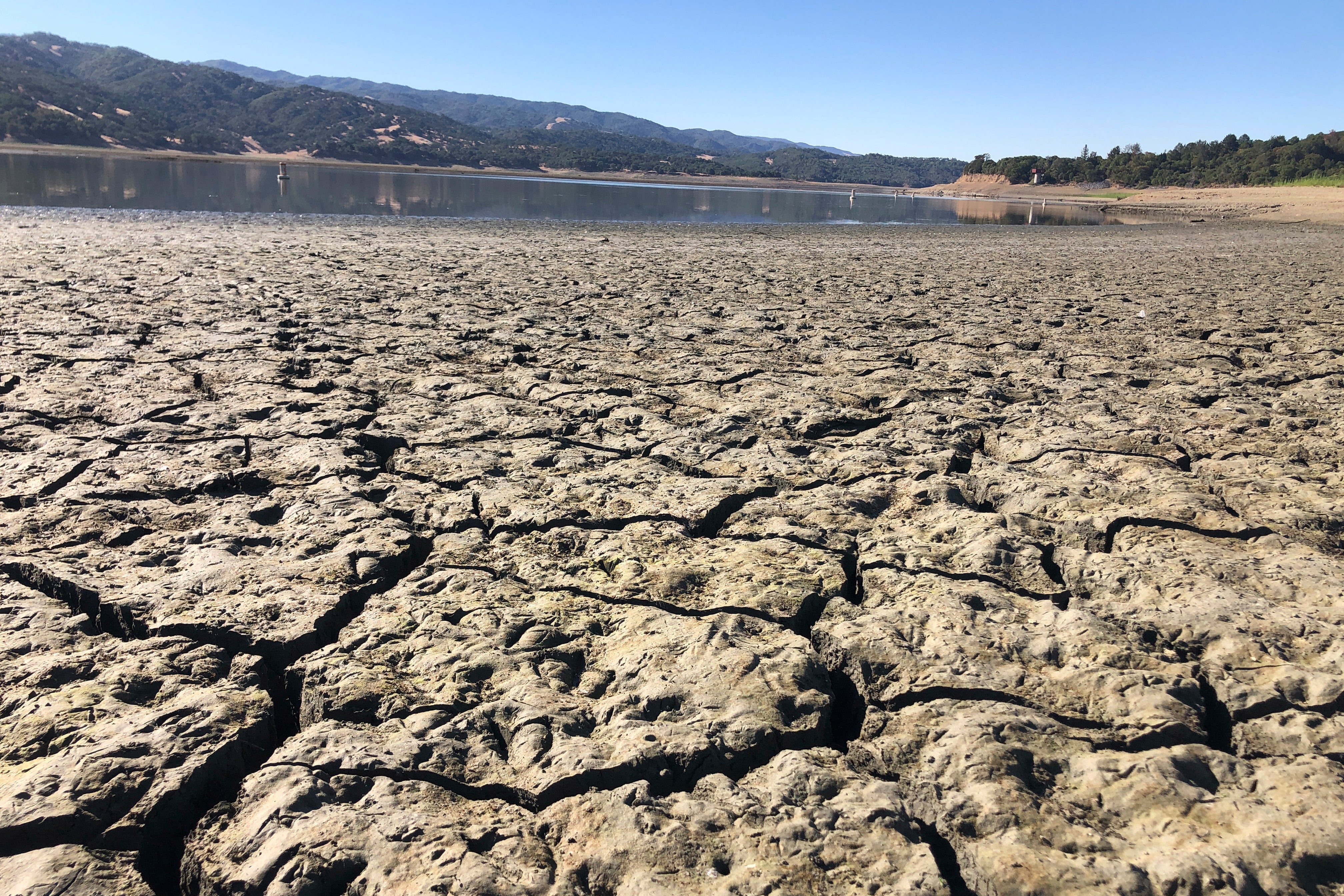 California Dry Mendocino