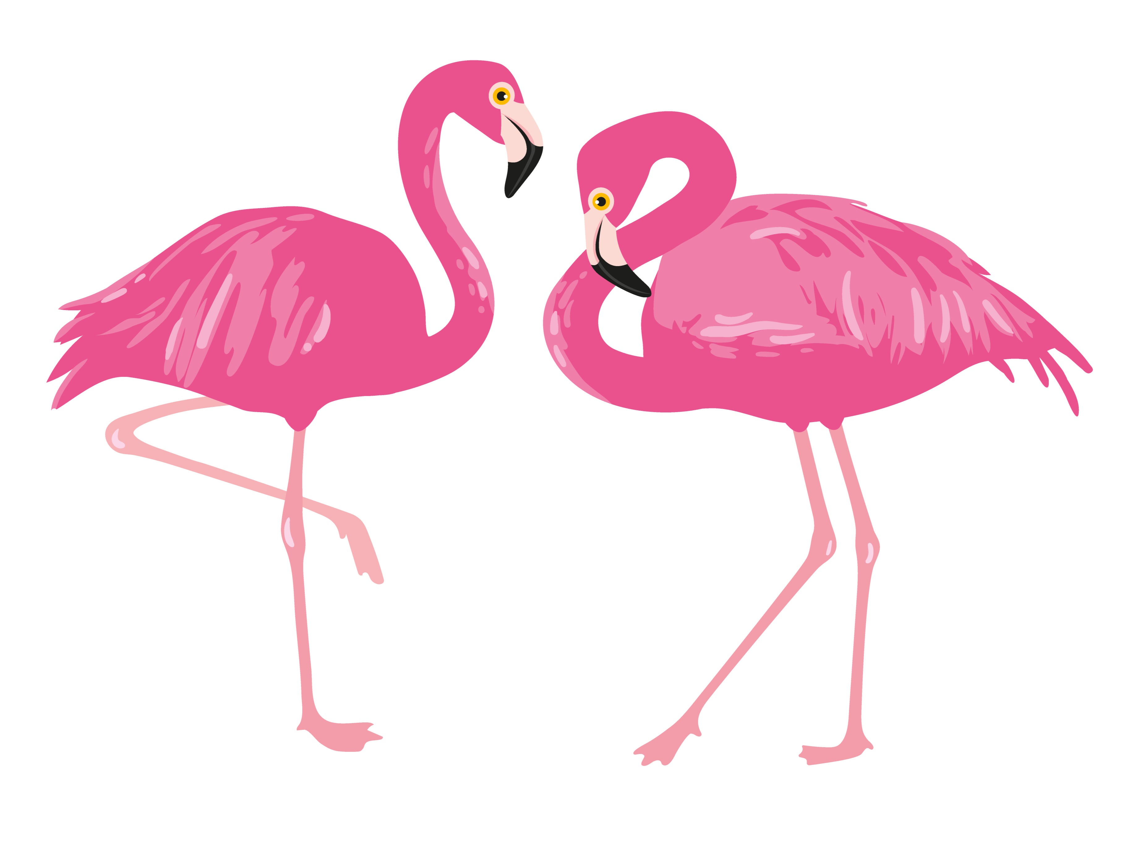 The ‘flamingo’ is one of Instagram’s most popular poses