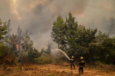 Greece fires: Prime minister apologises for failures in tackling more than 500 wildfires across country