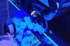 Airline passenger criticised for dumping inflight meal in plane aisle