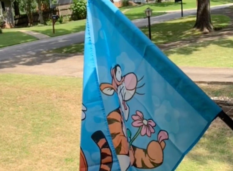 Tigger ‘Karen’ apologises to Black neighbour after flag row TikTok watched 10 million times