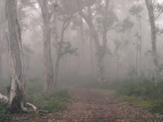 The vanishing hikers and the mystery of the mountains