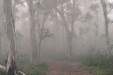 The vanishing hikers and the mystery of the mountains