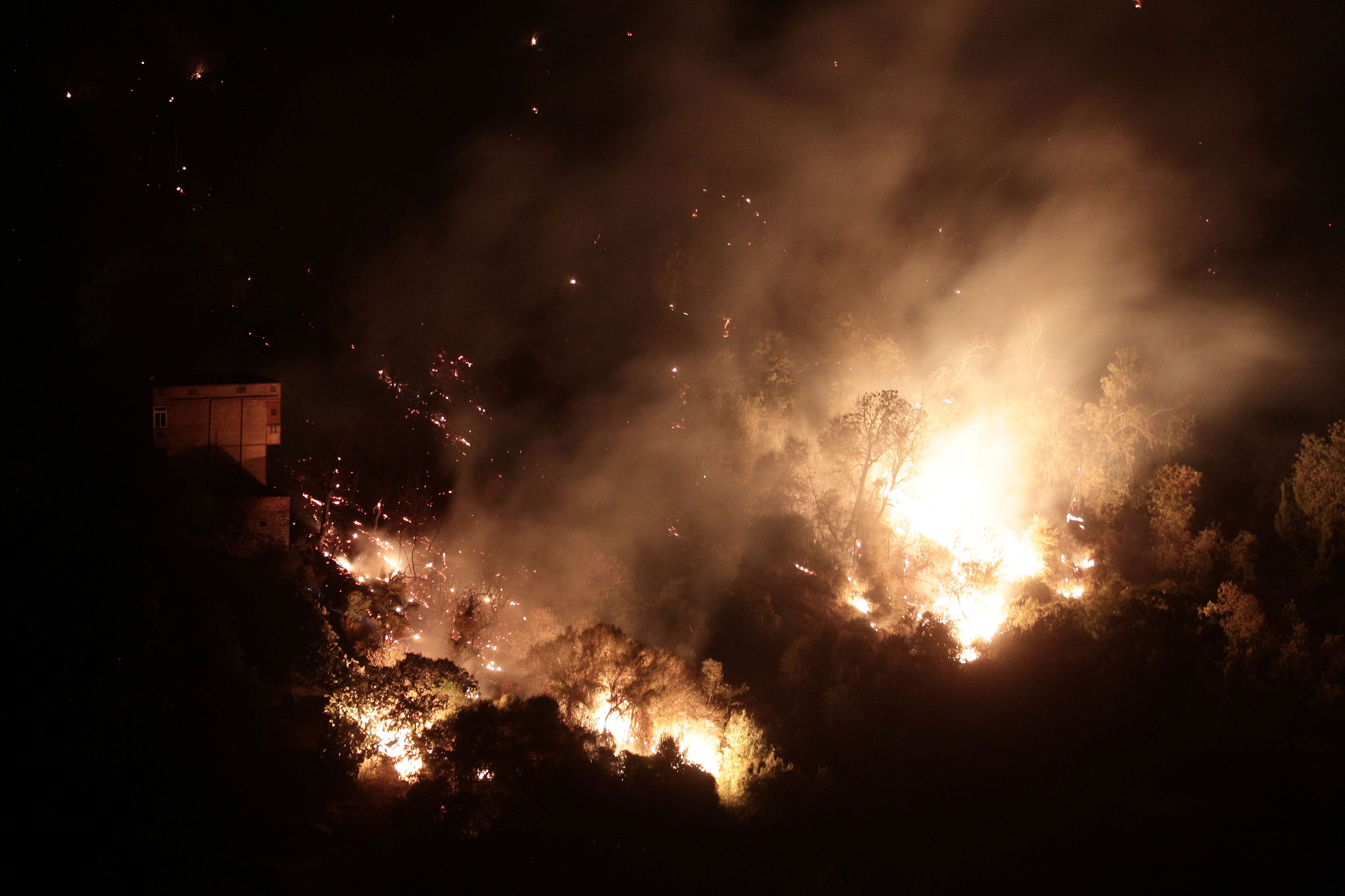 Algeria Forest Fires