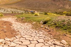 Chile’s science minister says addressing the climate crisis is ‘national priority’