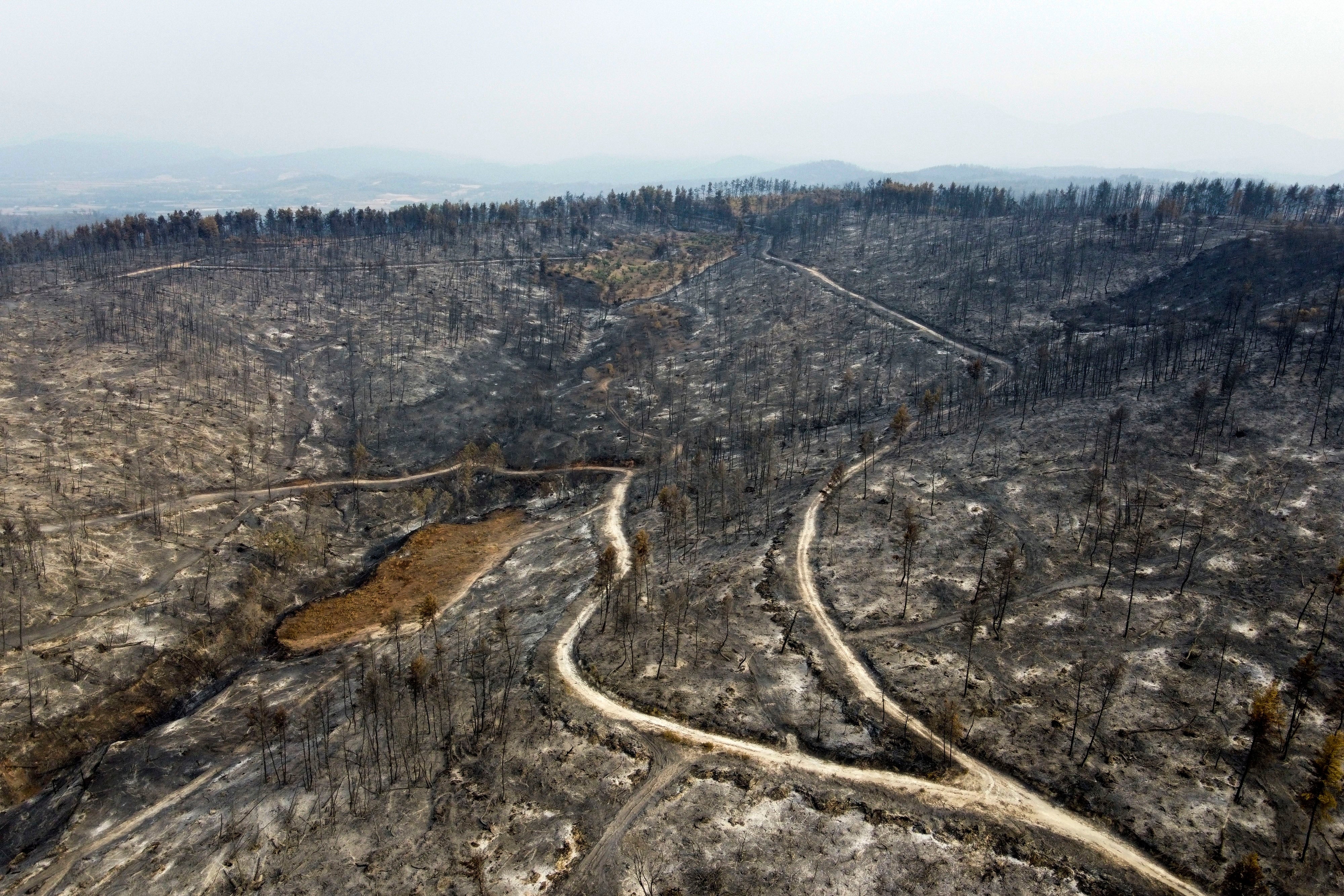 APTOPIX Greece Fires