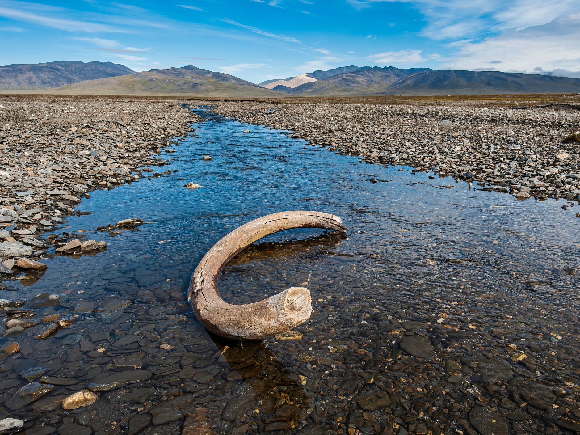 Isotopes in a 17,000-year-old mammoth tusk revealed where the 28-year-old male had travelled during his lifetime