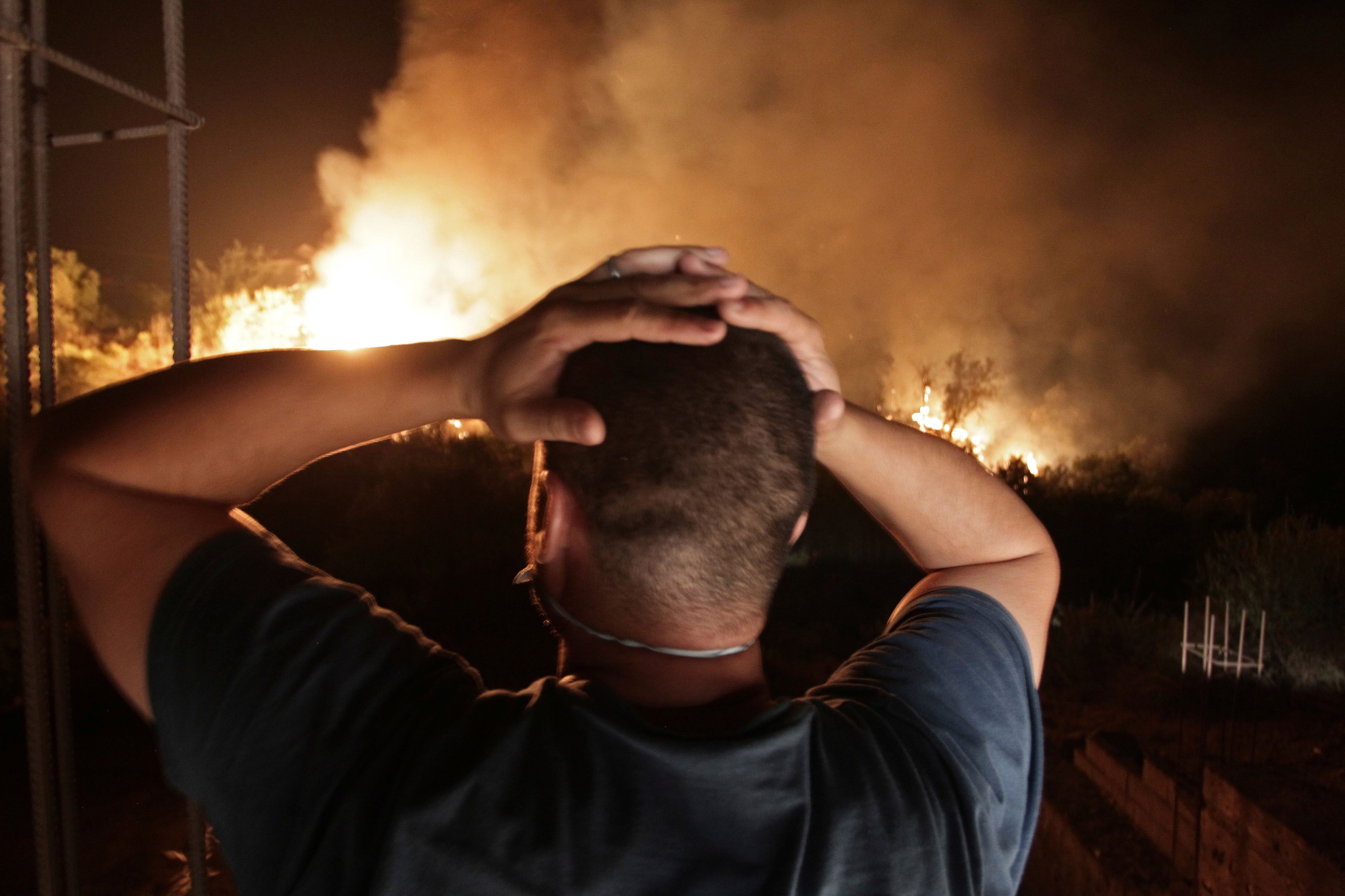 Algeria Forest Fires