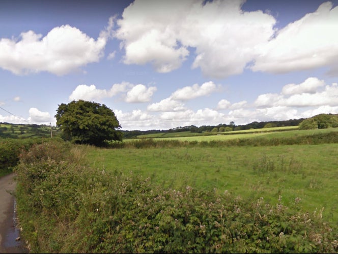 Farmland near Buckland St Mary, Somerset