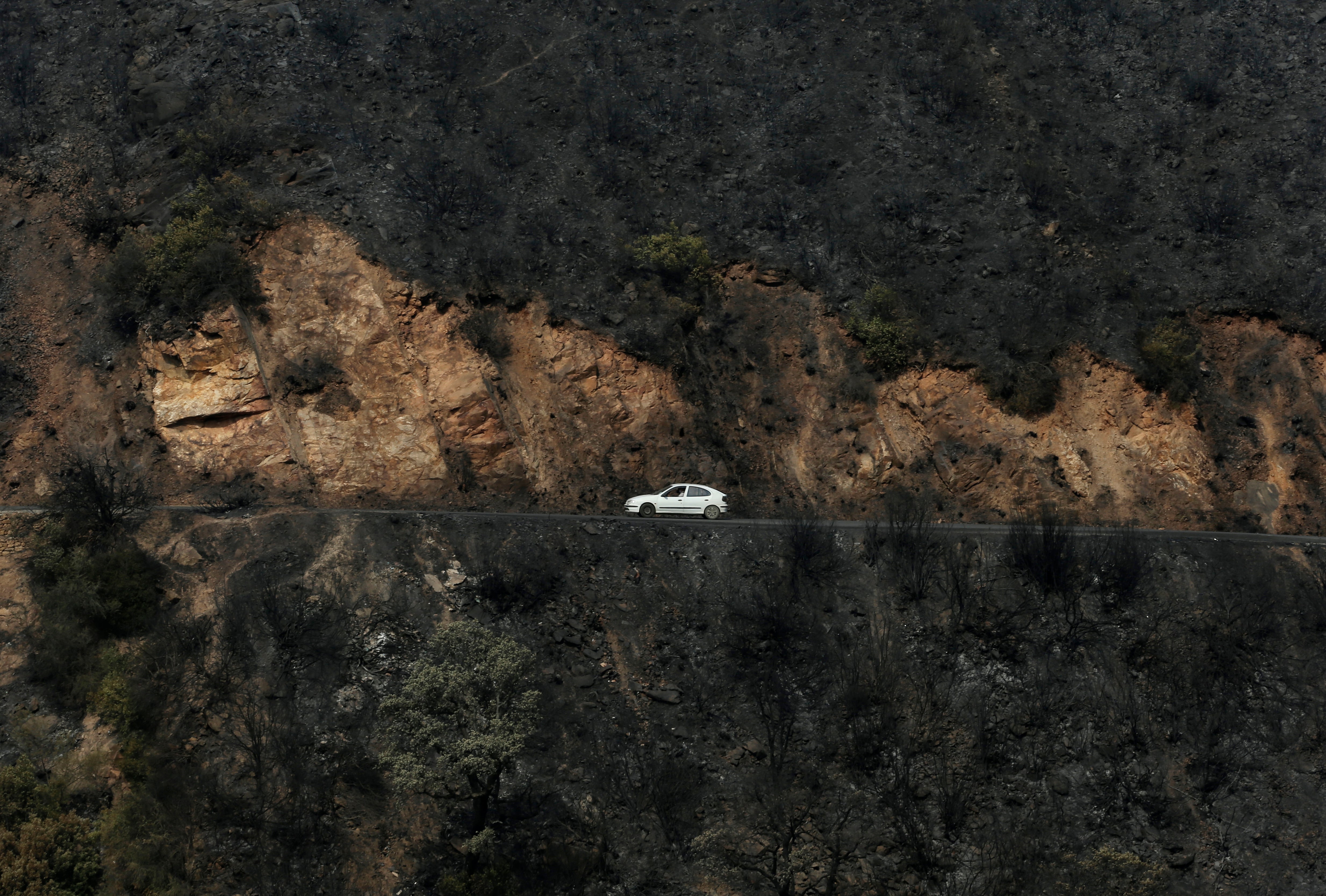 A car drives through a charred forest in the Kabyle region of Algeria last month